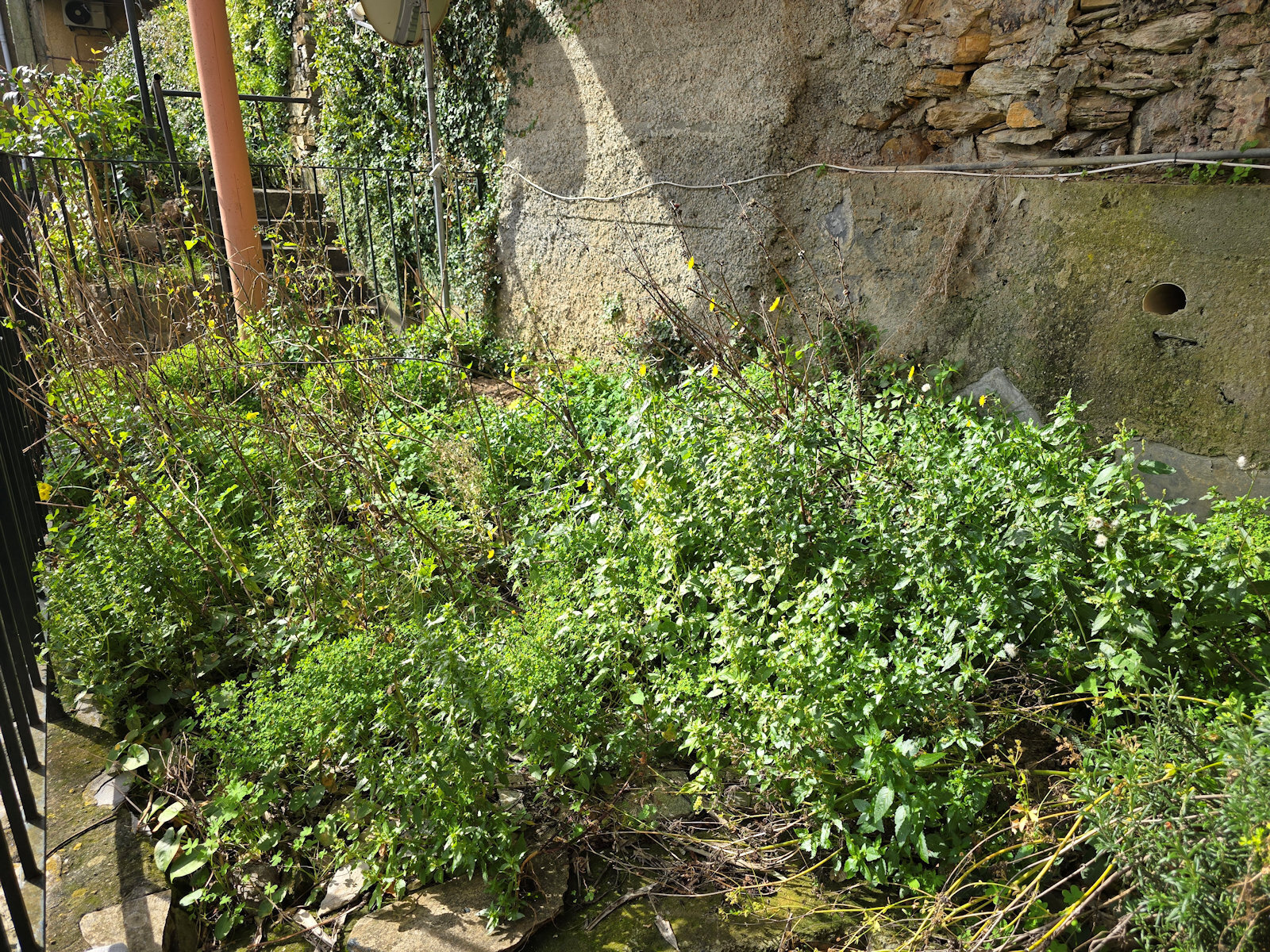 Quadrilocale da ristrutturare in via l. bernab� brea 56, Zoagli