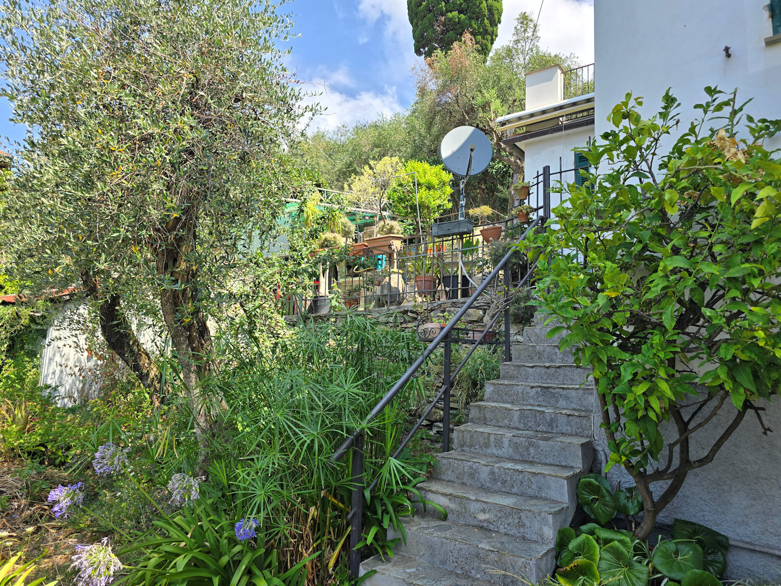 Casa indipendente con giardino in via dei velluti 5, Zoagli