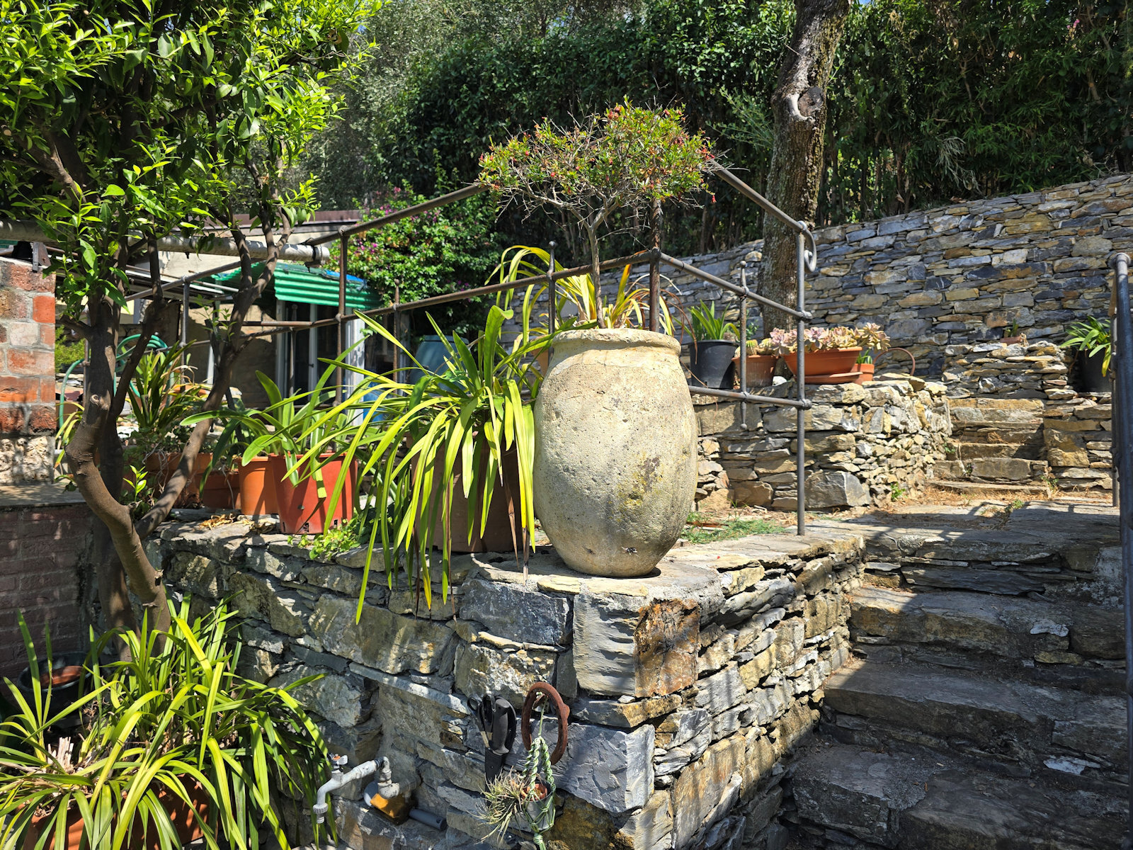 Casa indipendente con giardino in via dei velluti 5, Zoagli
