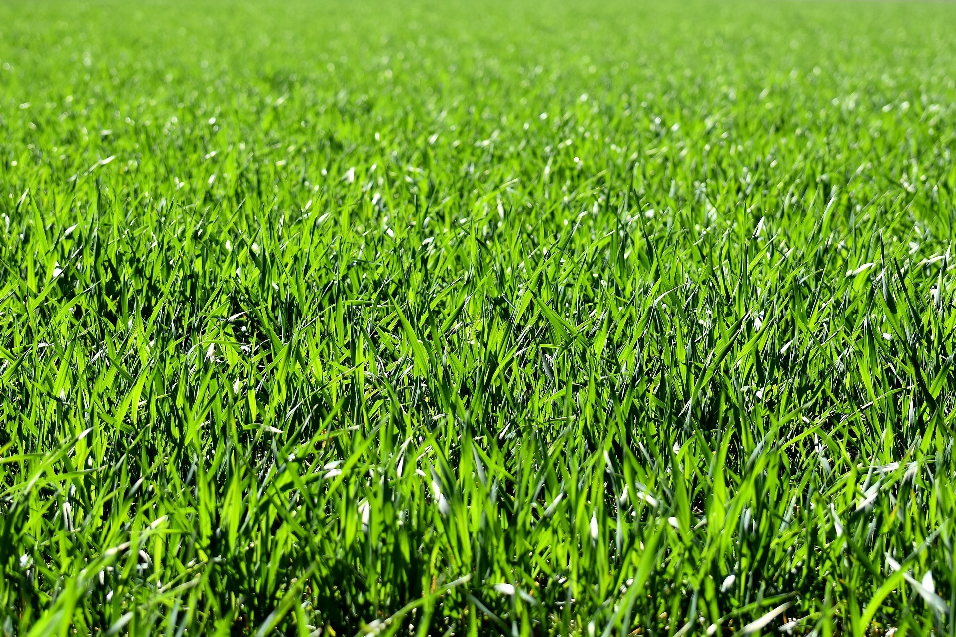 Terreno Industriale in vendita in strada quinzanese, Verolanuova