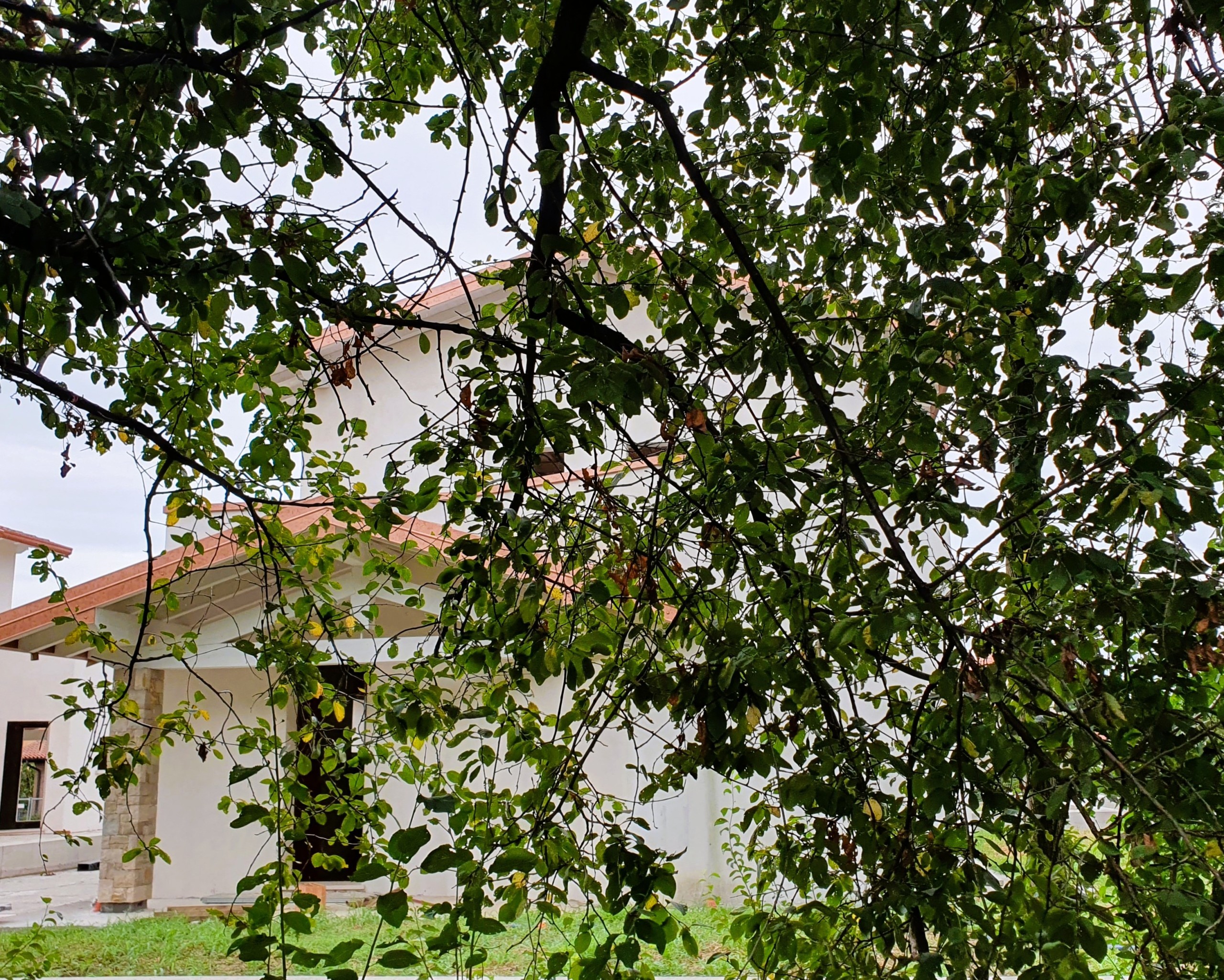 Quadrilocale con giardino in monte netto, Poncarale