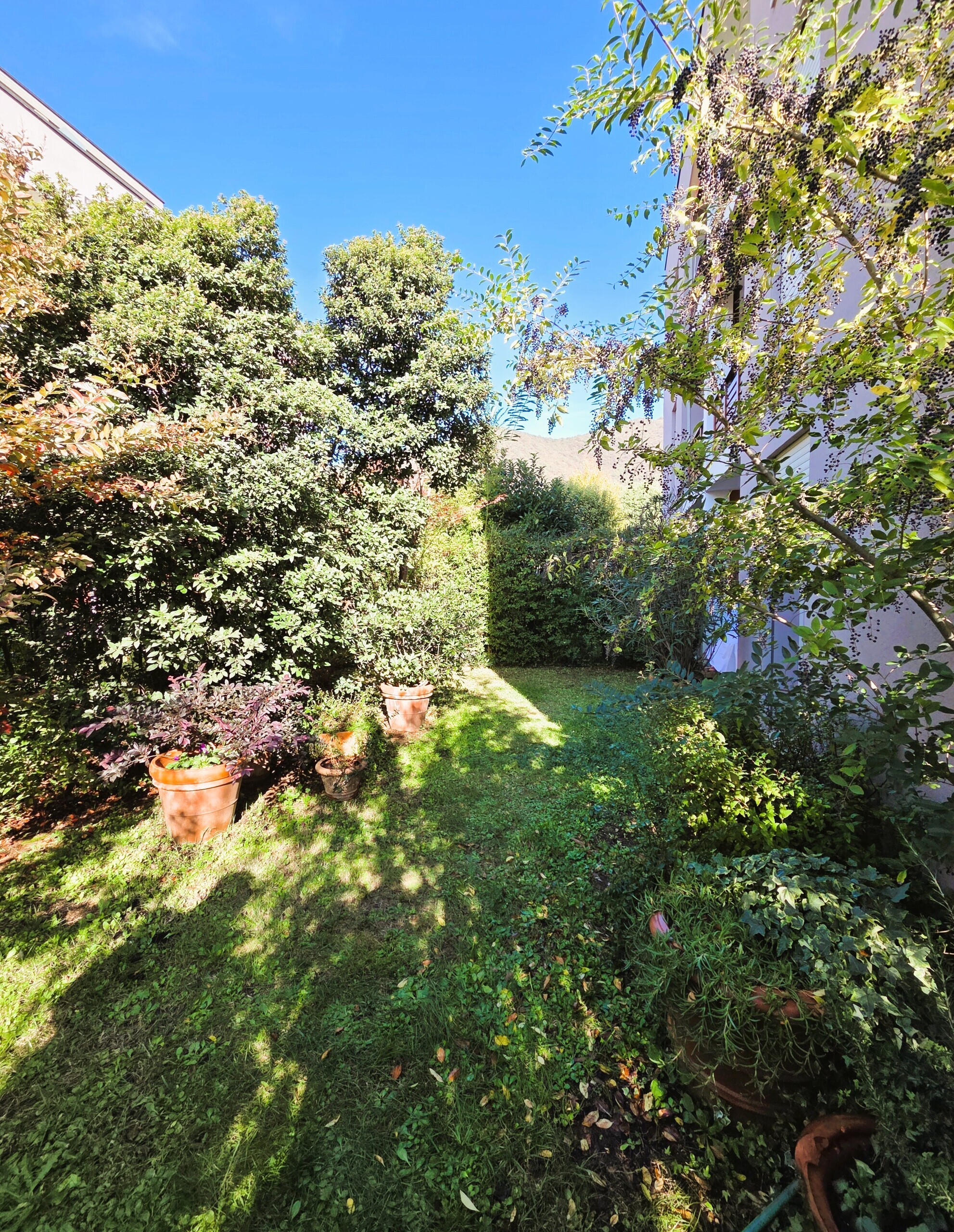 Trilocale con giardino in zona centrale, Bovezzo