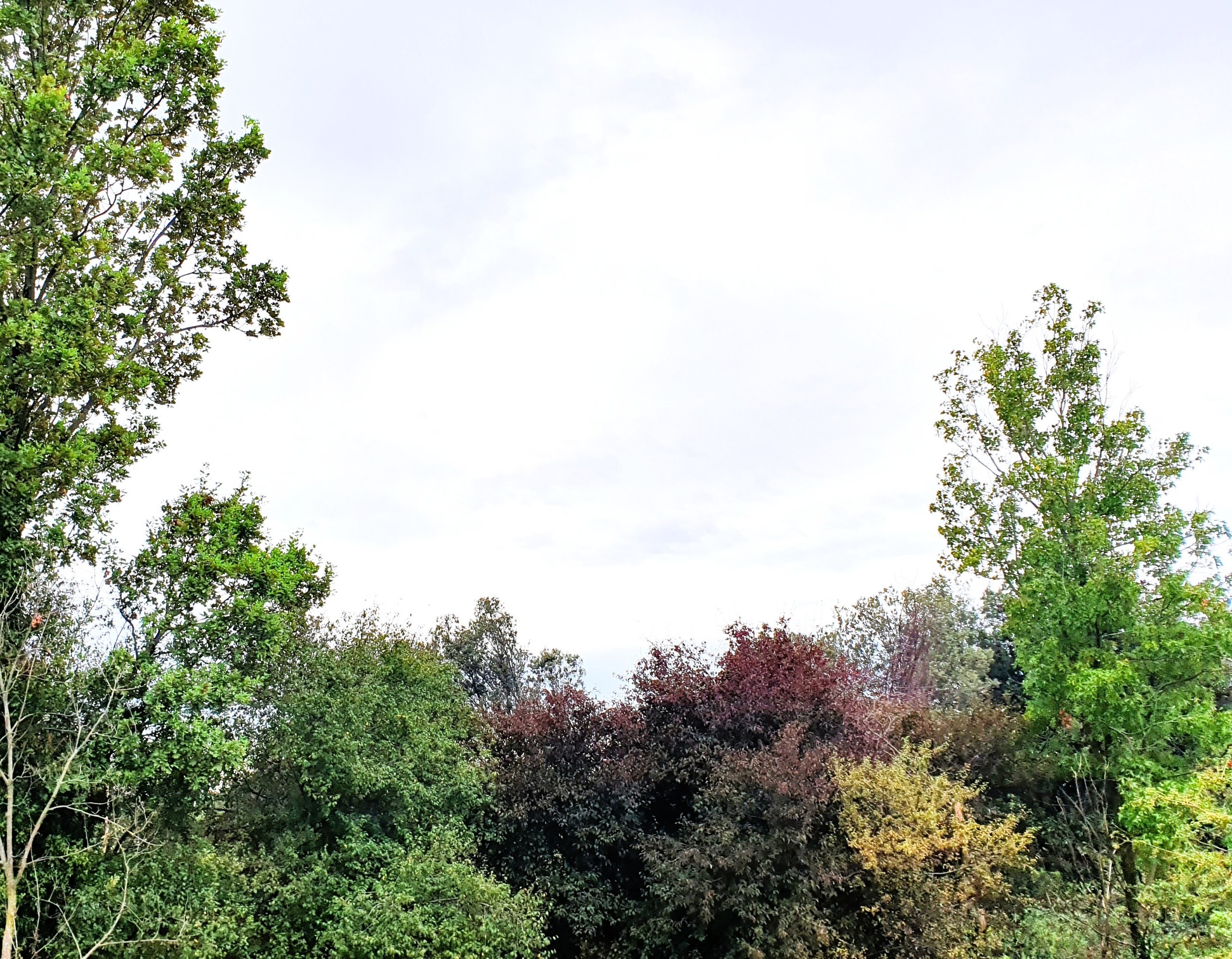 Quadrilocale con giardino in monte netto, Poncarale