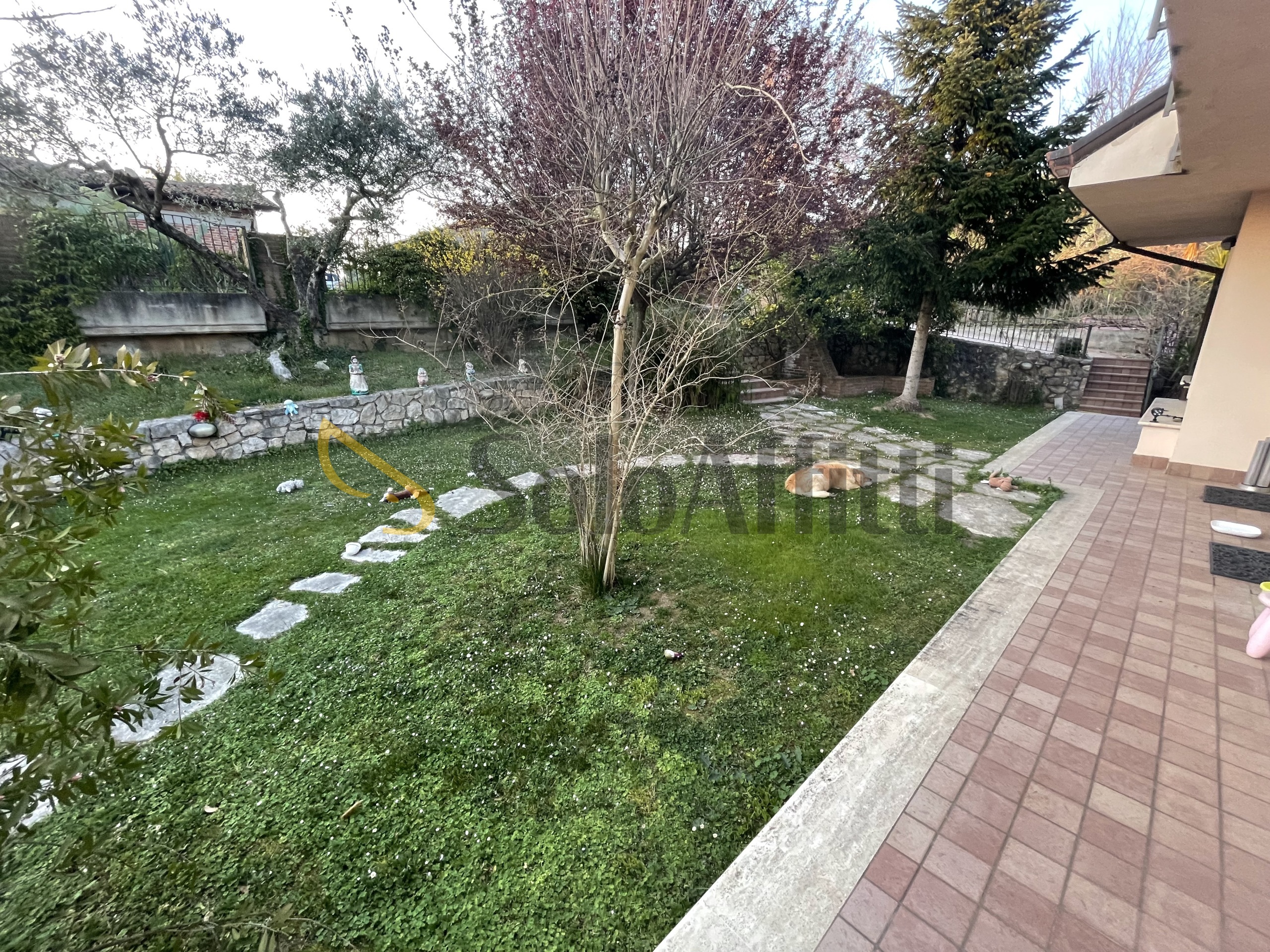 Quadrilocale in affitto a Frosinone