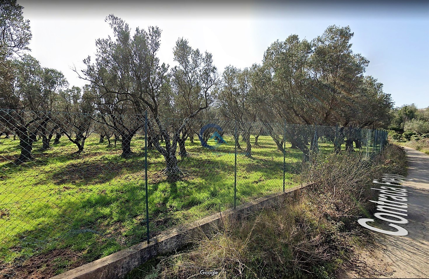 Terreno Agricolo in vendita, Borgia roccelletta