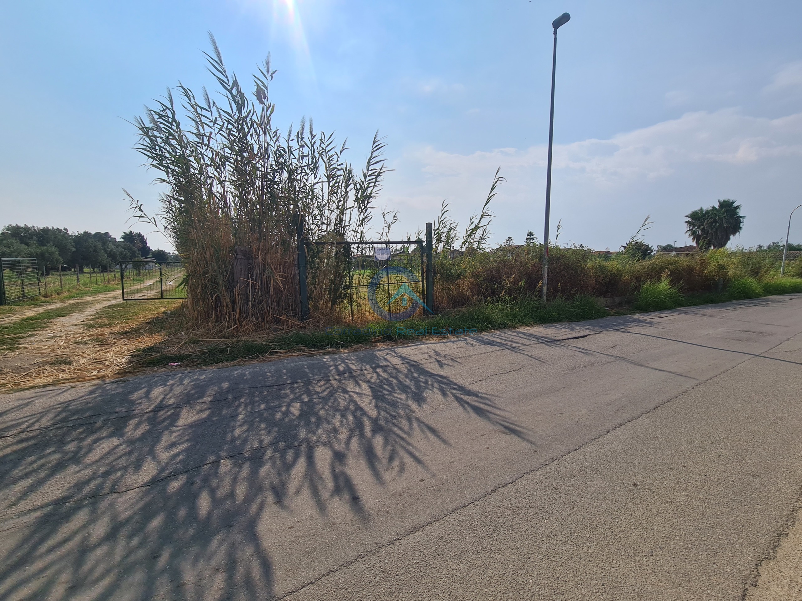 Terreno Agricolo in vendita, Sellia Marina ruggero
