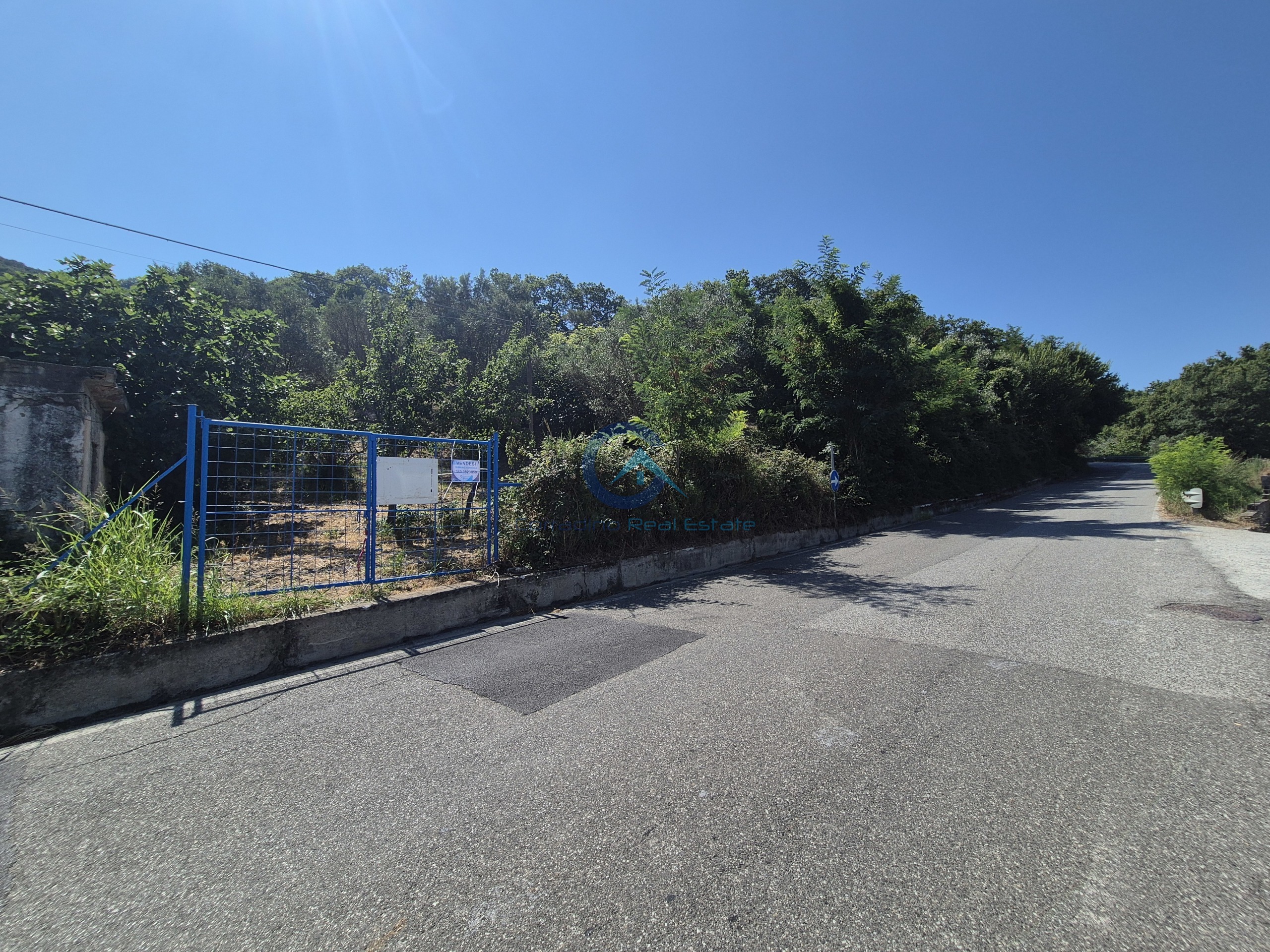 Terreno Agricolo in vendita a Caraffa di Catanzaro