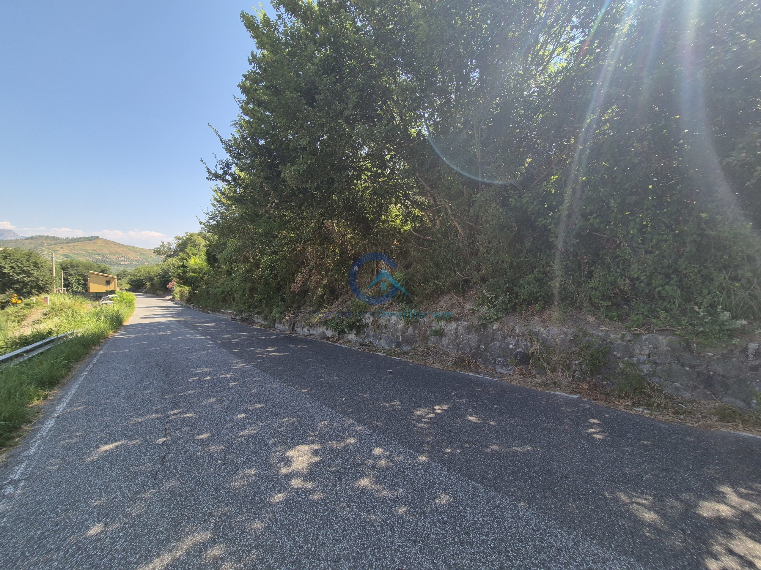 Terreno Agricolo in vendita a Caraffa di Catanzaro