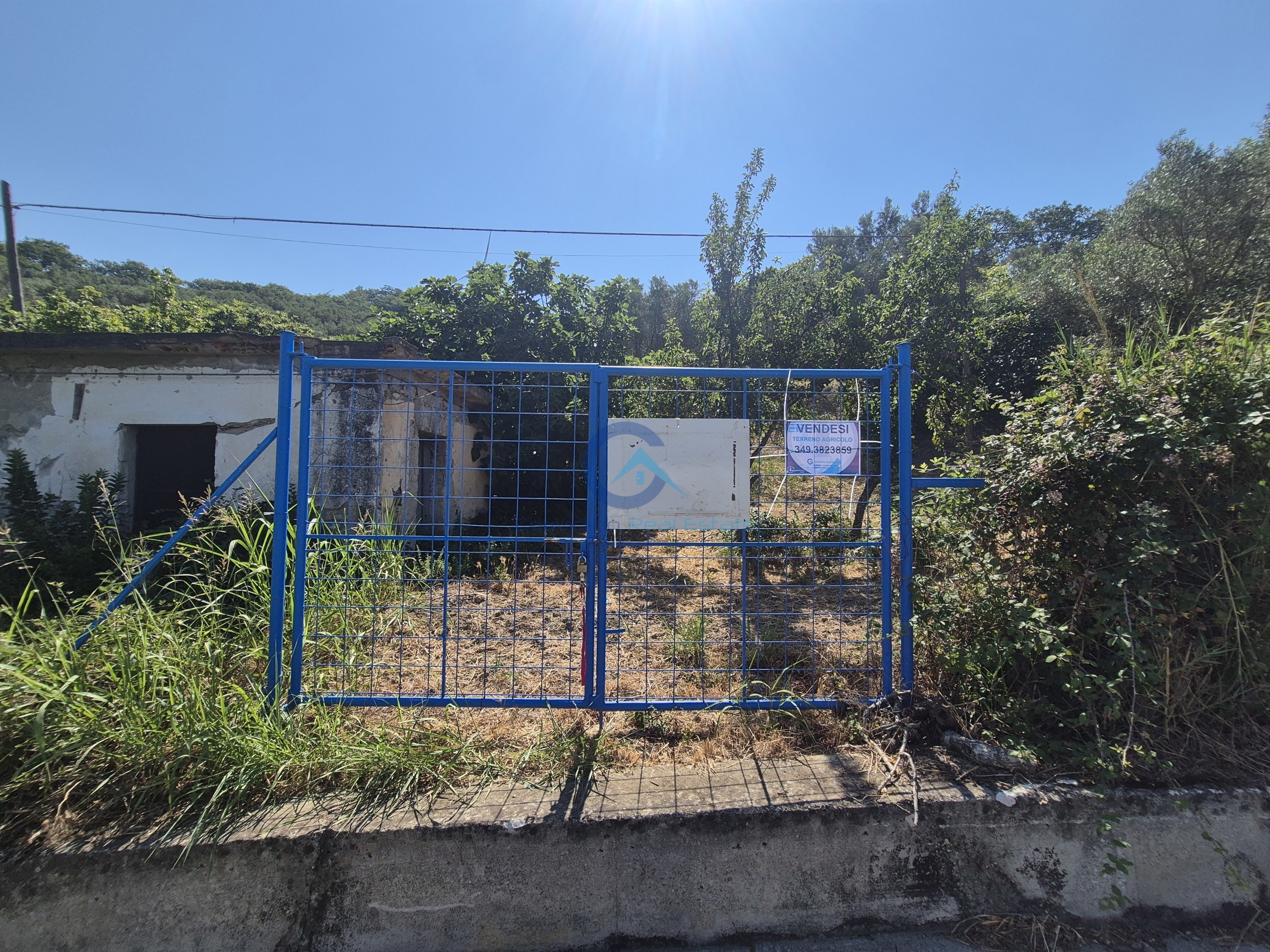 Terreno Agricolo in vendita a Caraffa di Catanzaro