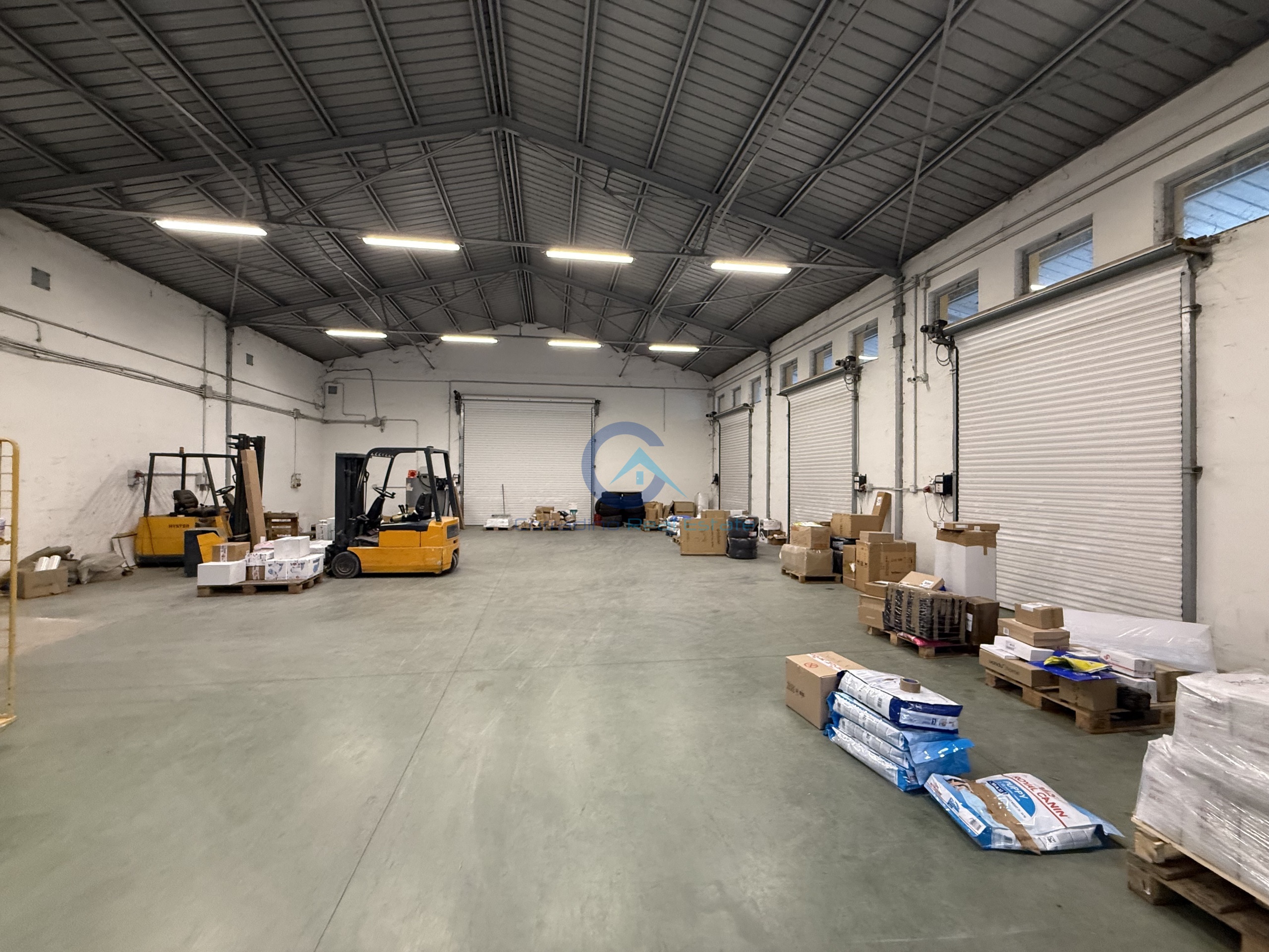 Capannone in vendita in s.da statale 19 delle calabrie, Mongrassano