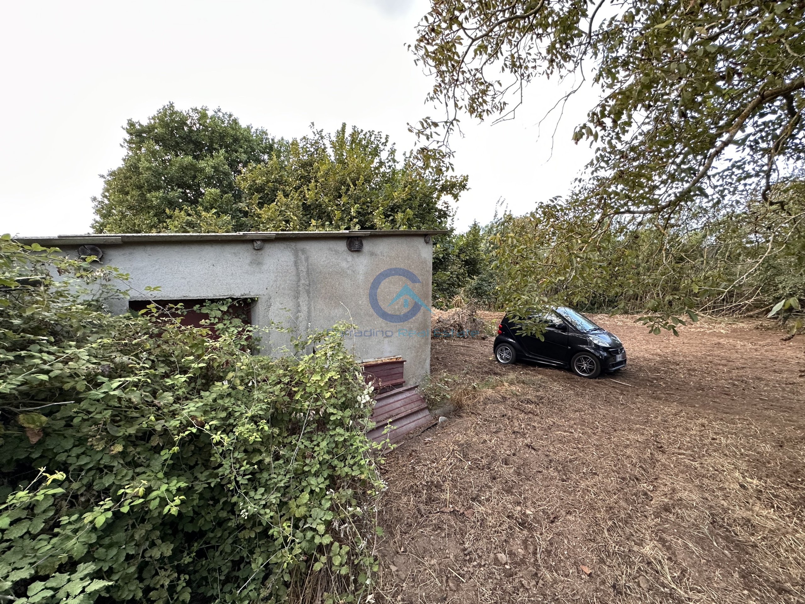 Magazzino con giardino in via san fantino, Borgia