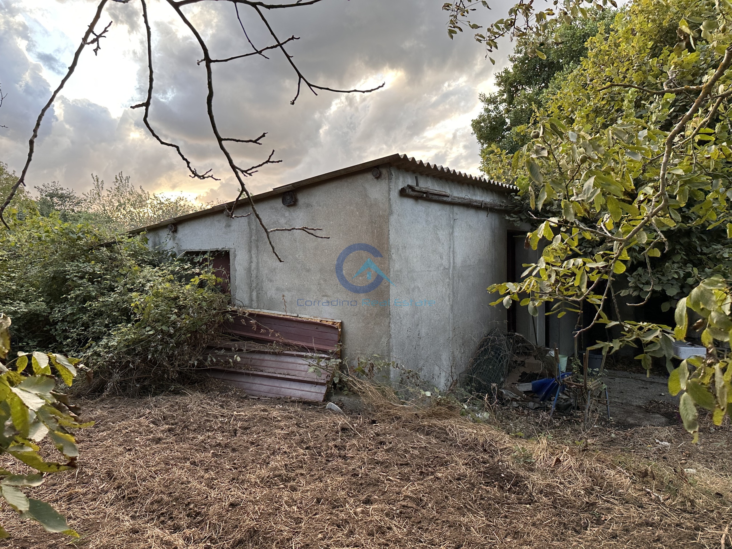 Magazzino con giardino in via san fantino, Borgia