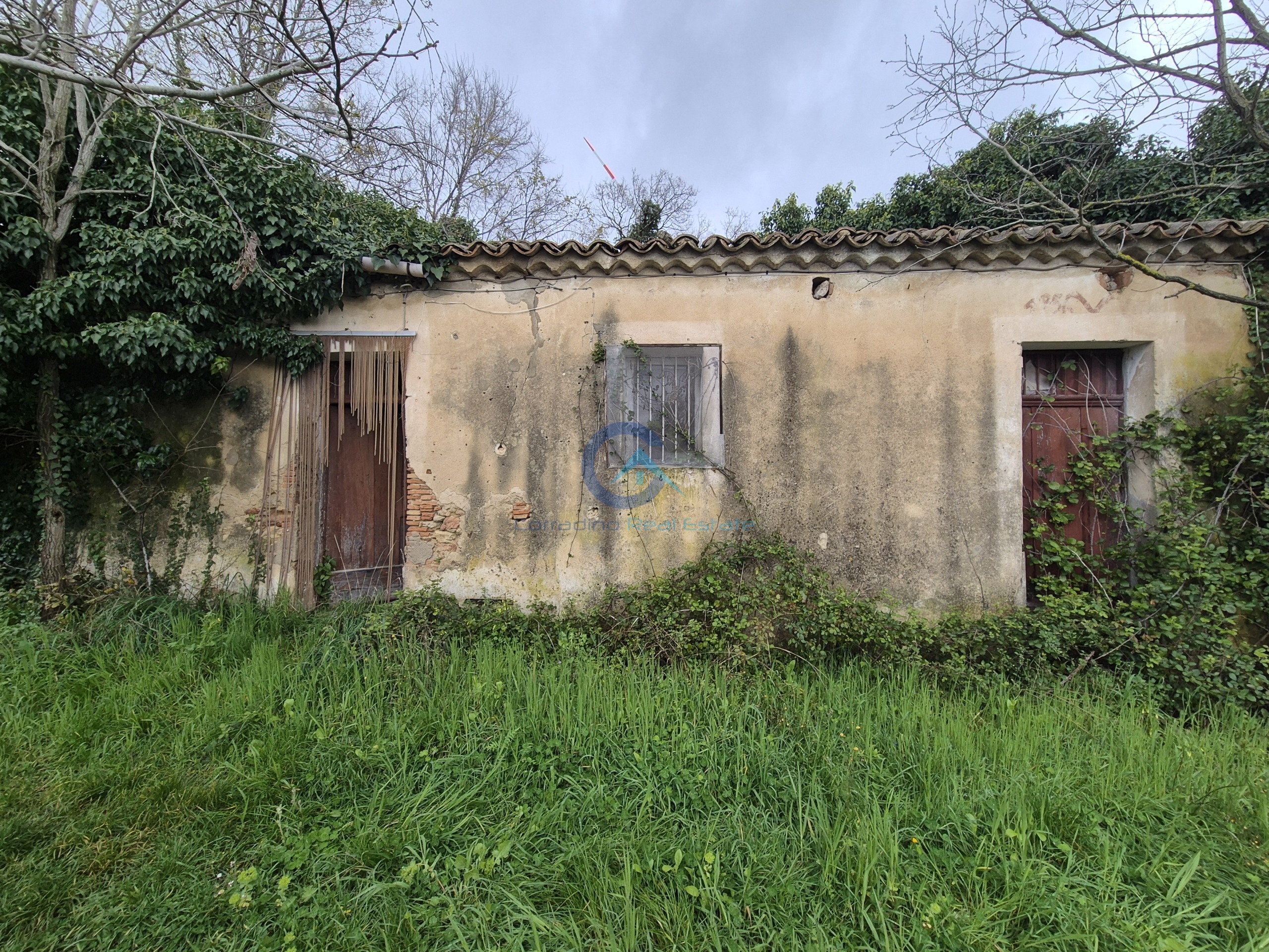 Magazzino con giardino in contrada cerasia, Borgia