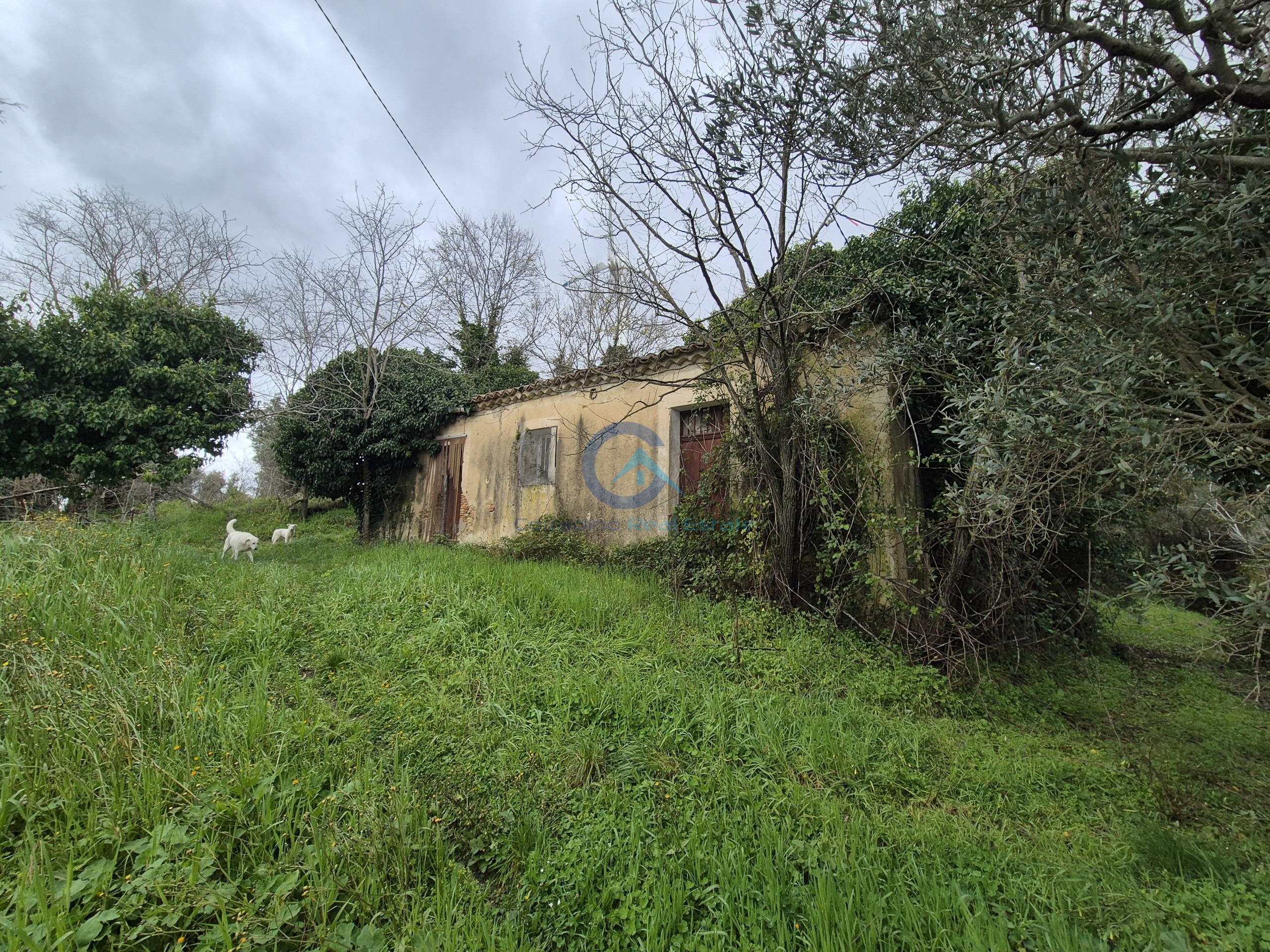 Magazzino con giardino in contrada cerasia, Borgia