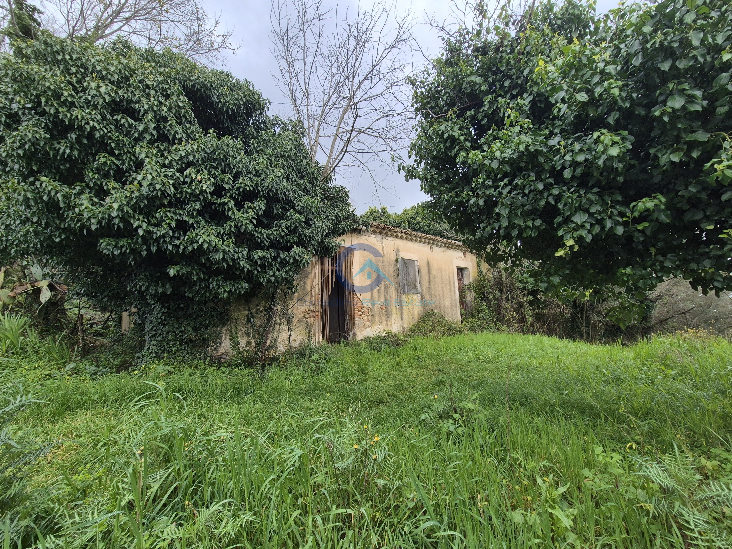 Magazzino con giardino in contrada cerasia, Borgia