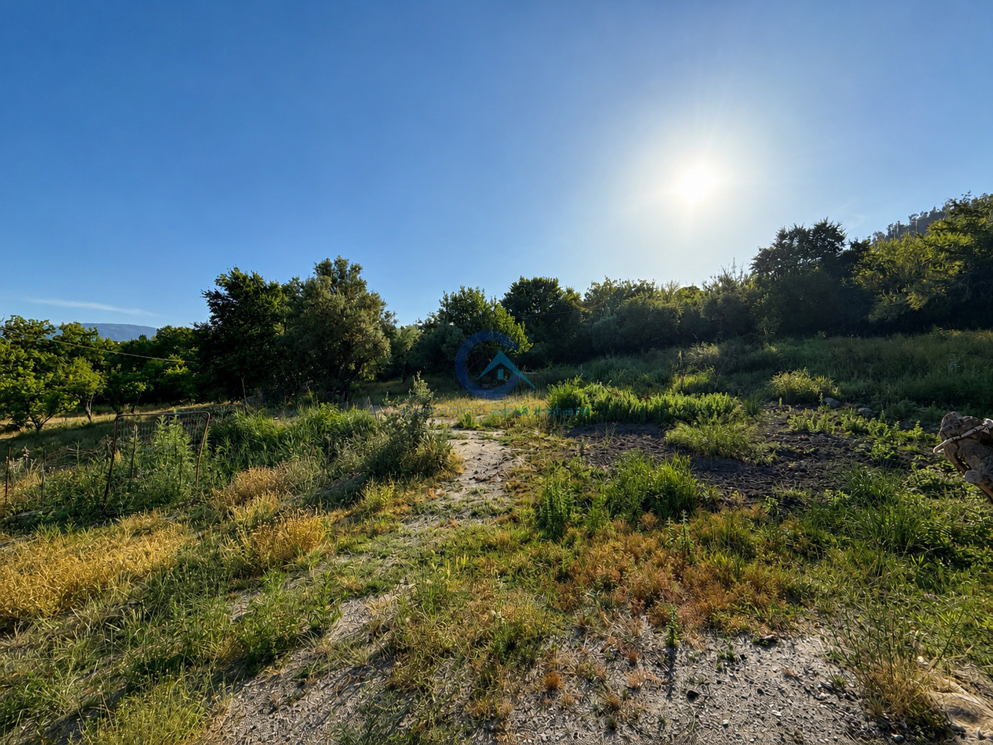 Terreno Edificabile in vendita in contrada costa degli aranci 18, Montauro