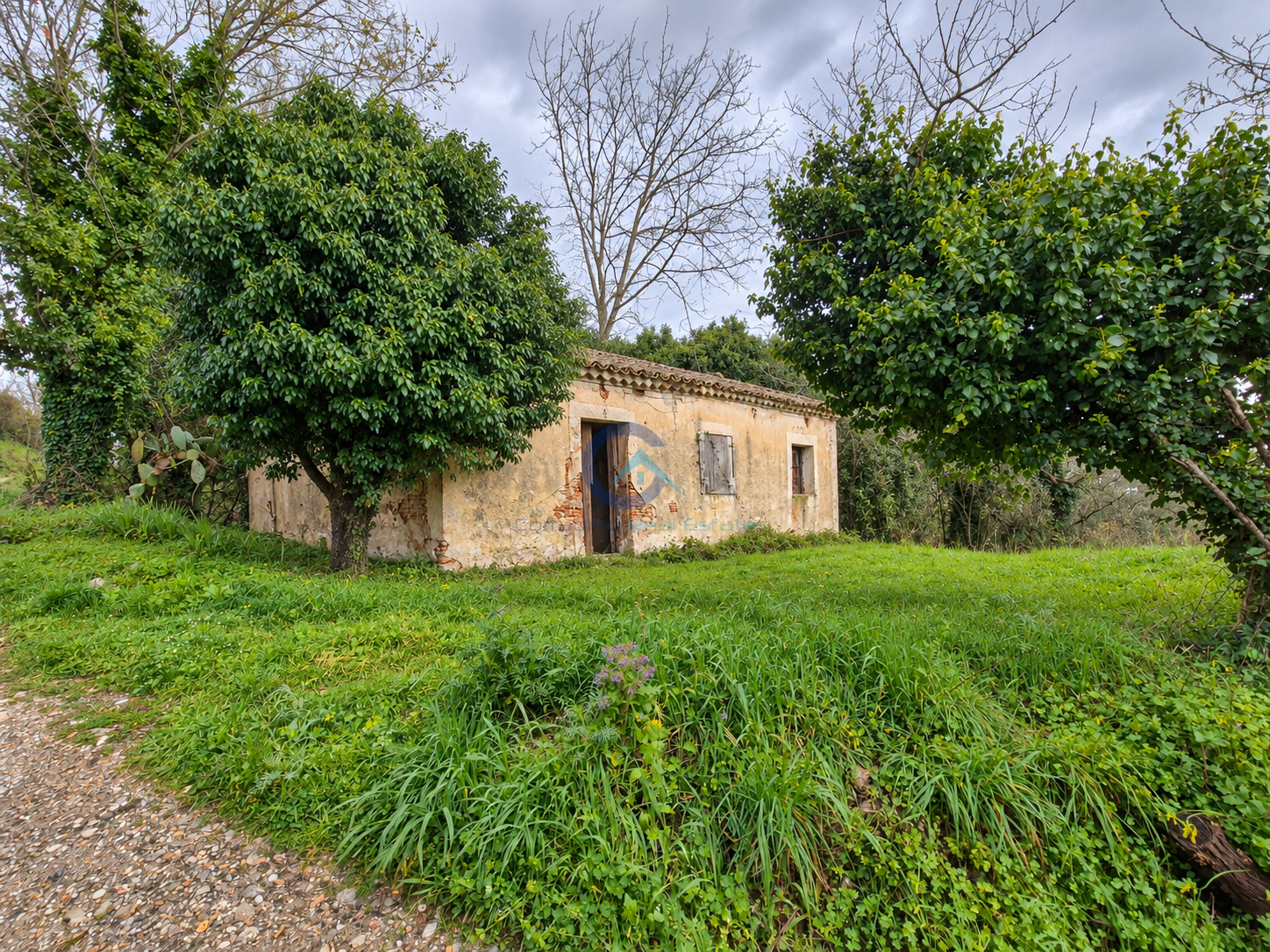 Casa indipendente con giardino in contrada cerasia, Borgia