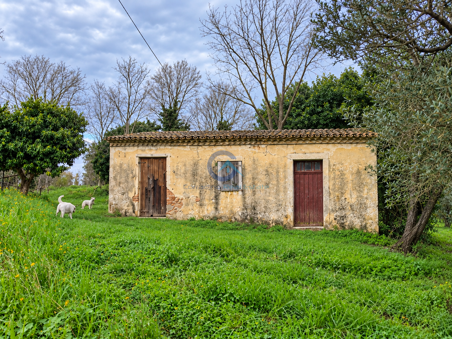 Casa indipendente con giardino in contrada cerasia, Borgia