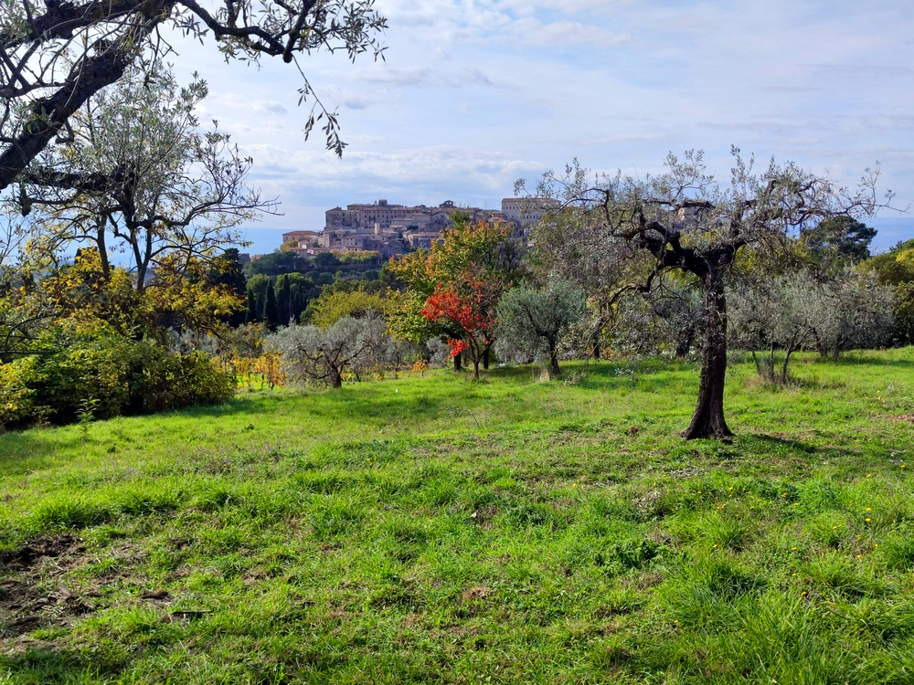 Terreno Edificabile in vendita in via del cardino, Lugnano in Teverina