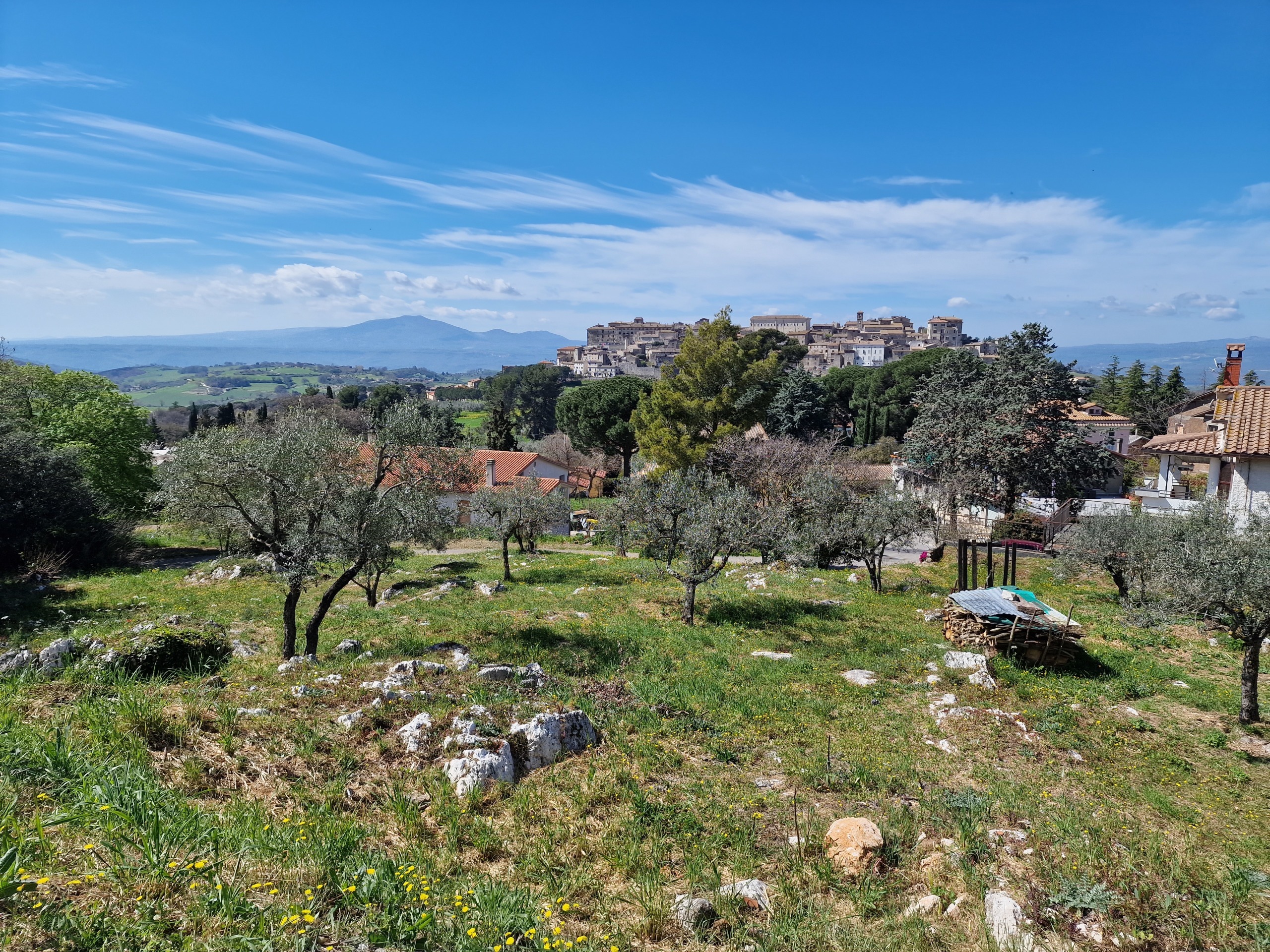 Terreno Edificabile in vendita in via madonna dei pini, Lugnano in Teverina