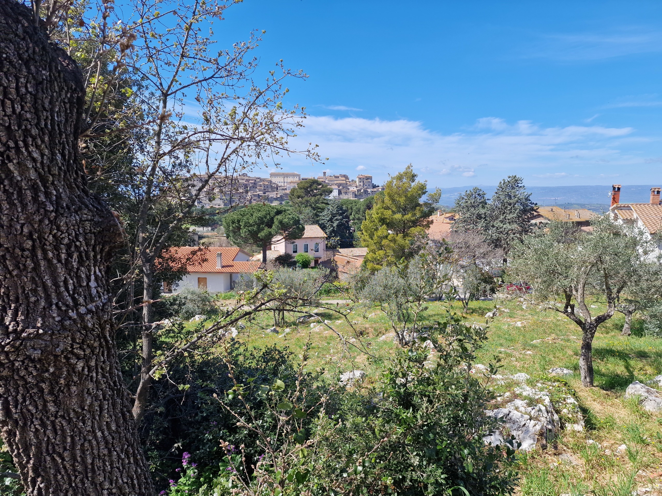 Terreno Edificabile in vendita in via madonna dei pini, Lugnano in Teverina