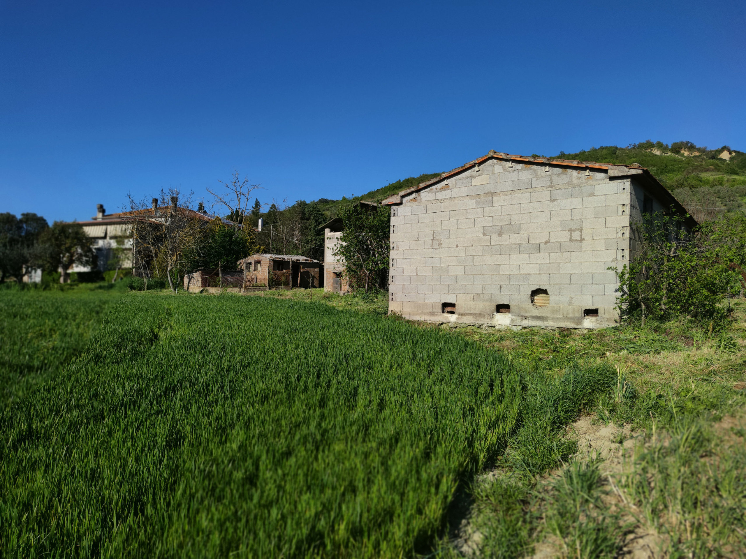 immagine annuncio 2 di 6