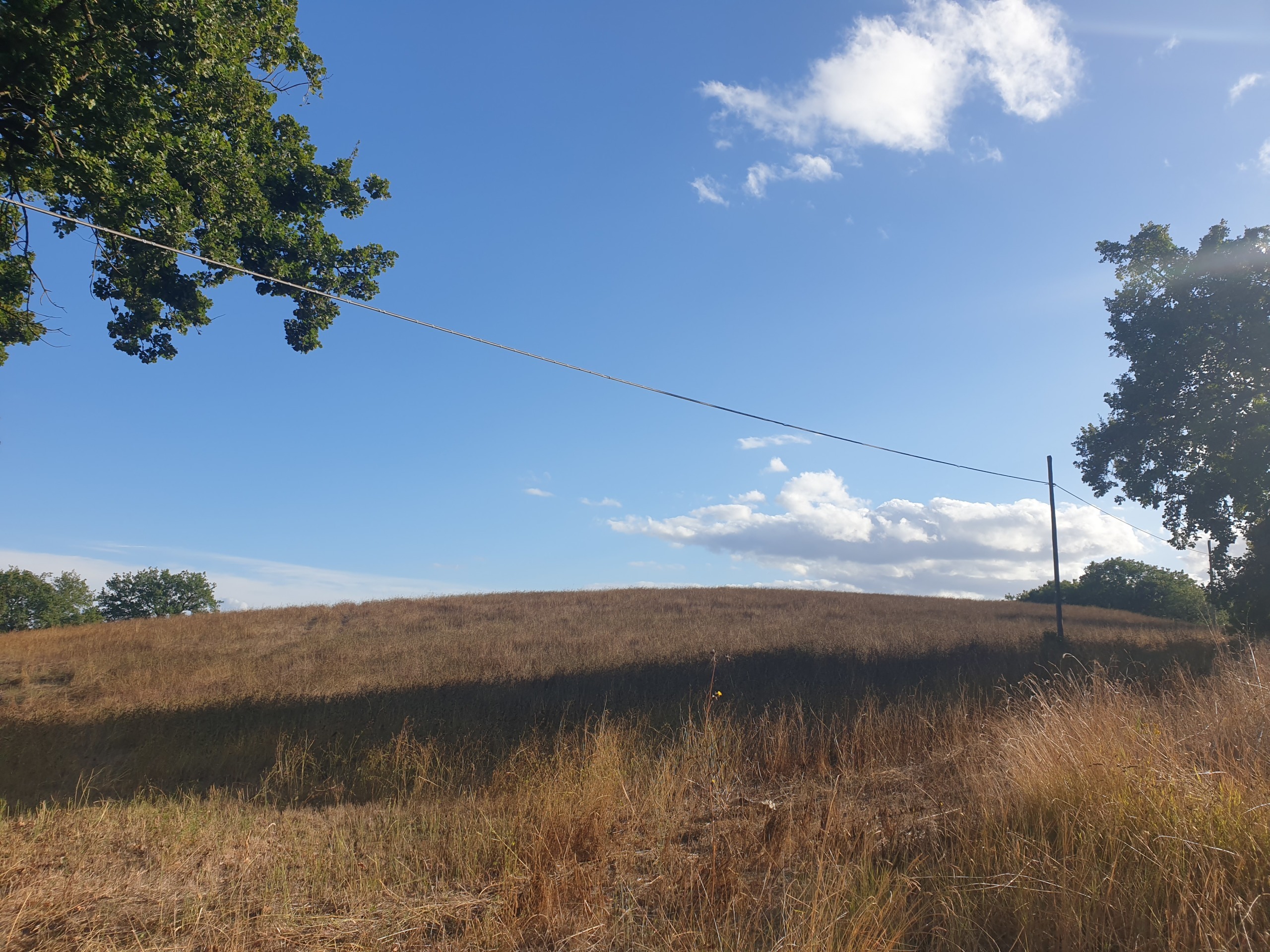 Terreno Agricolo in vendita a Lugnano in Teverina