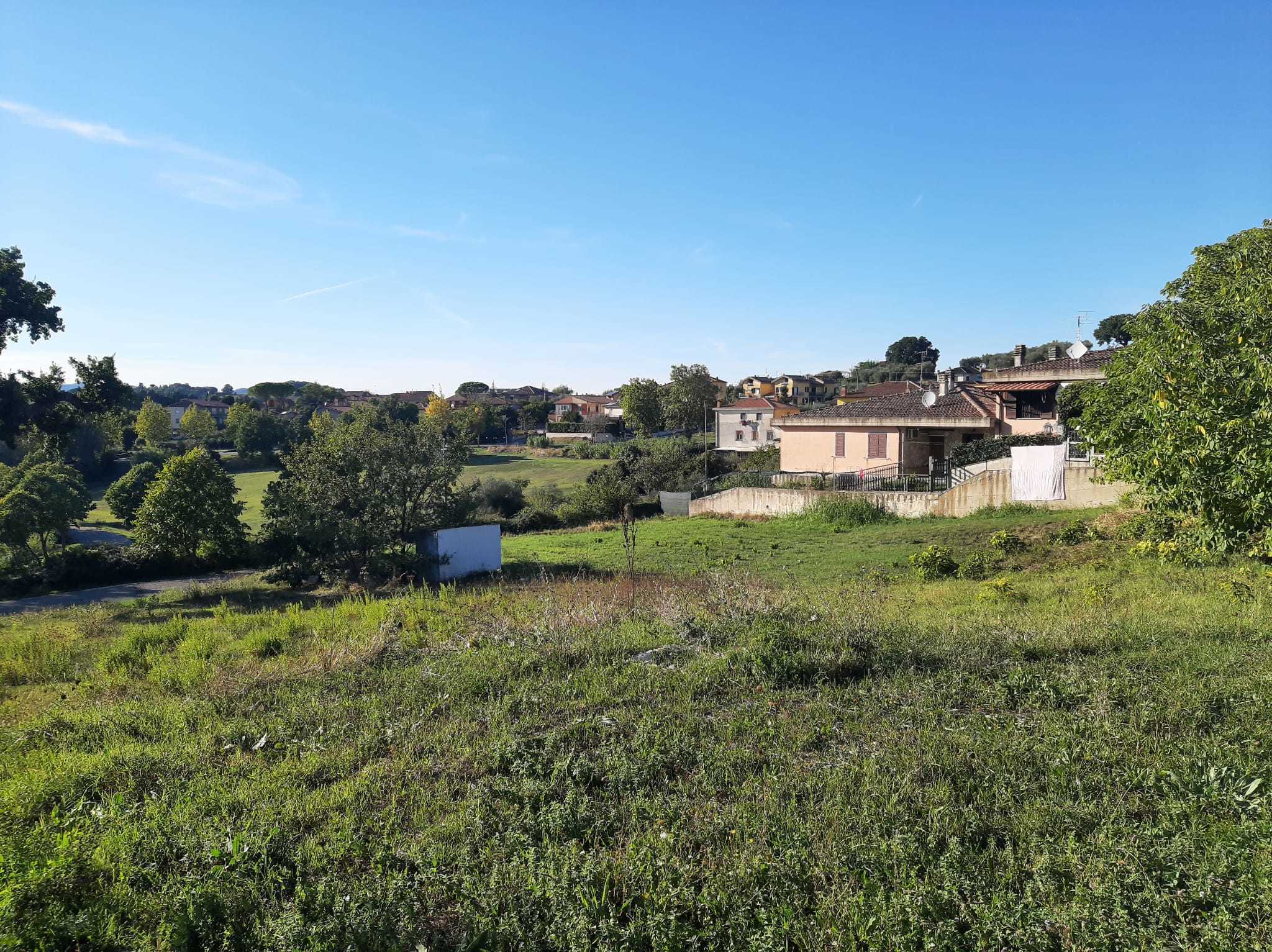 immagine annuncio 5 di 6