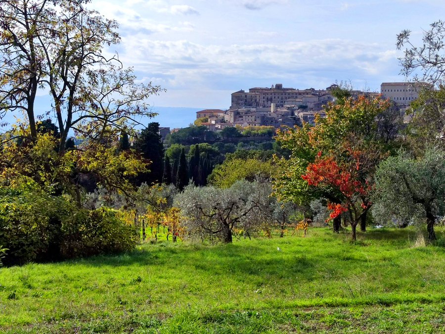 Terreno Edificabile in vendita in via del cardino, Lugnano in Teverina