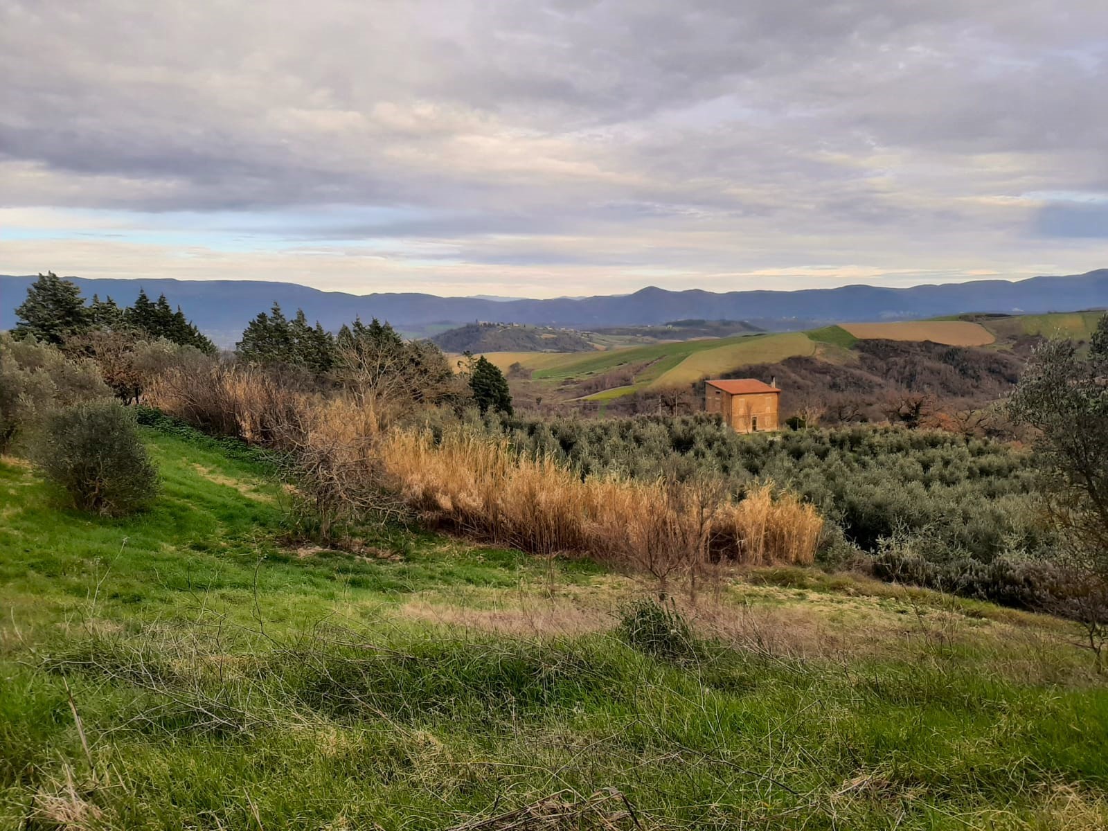Casa indipendente da ristrutturare in localit pesciano snc, Todi