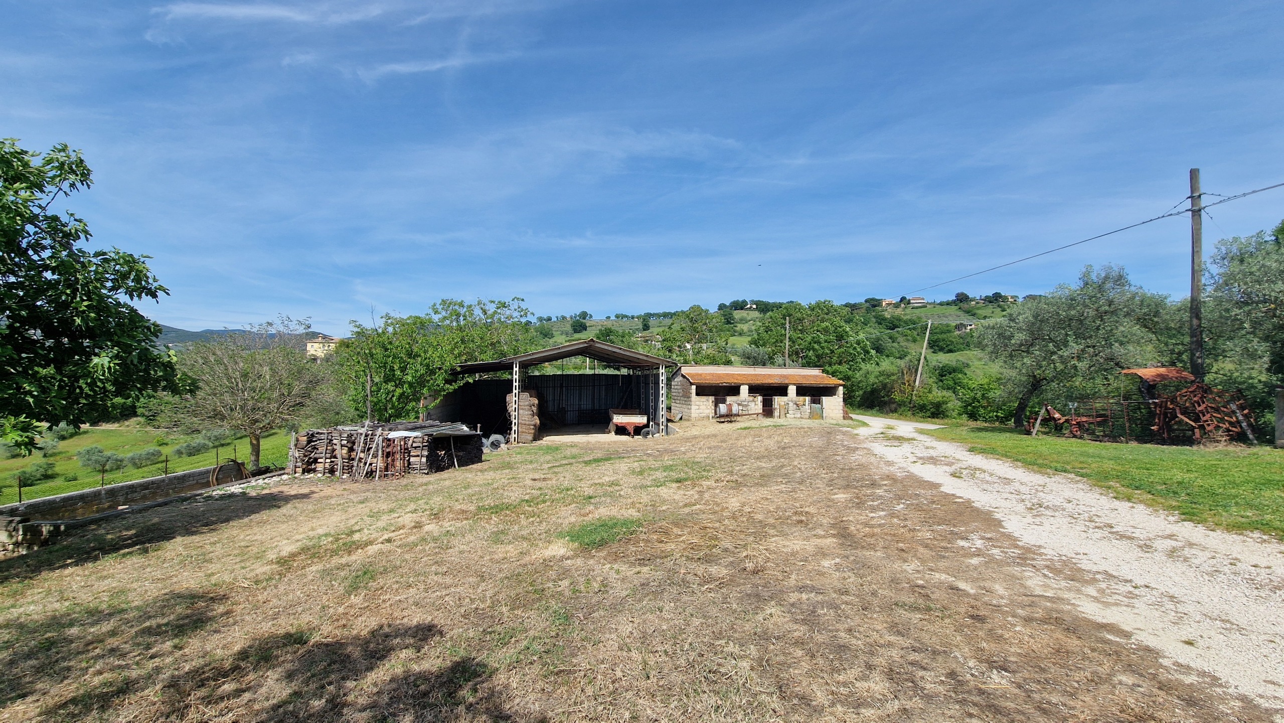 immagine annuncio 2 di 6