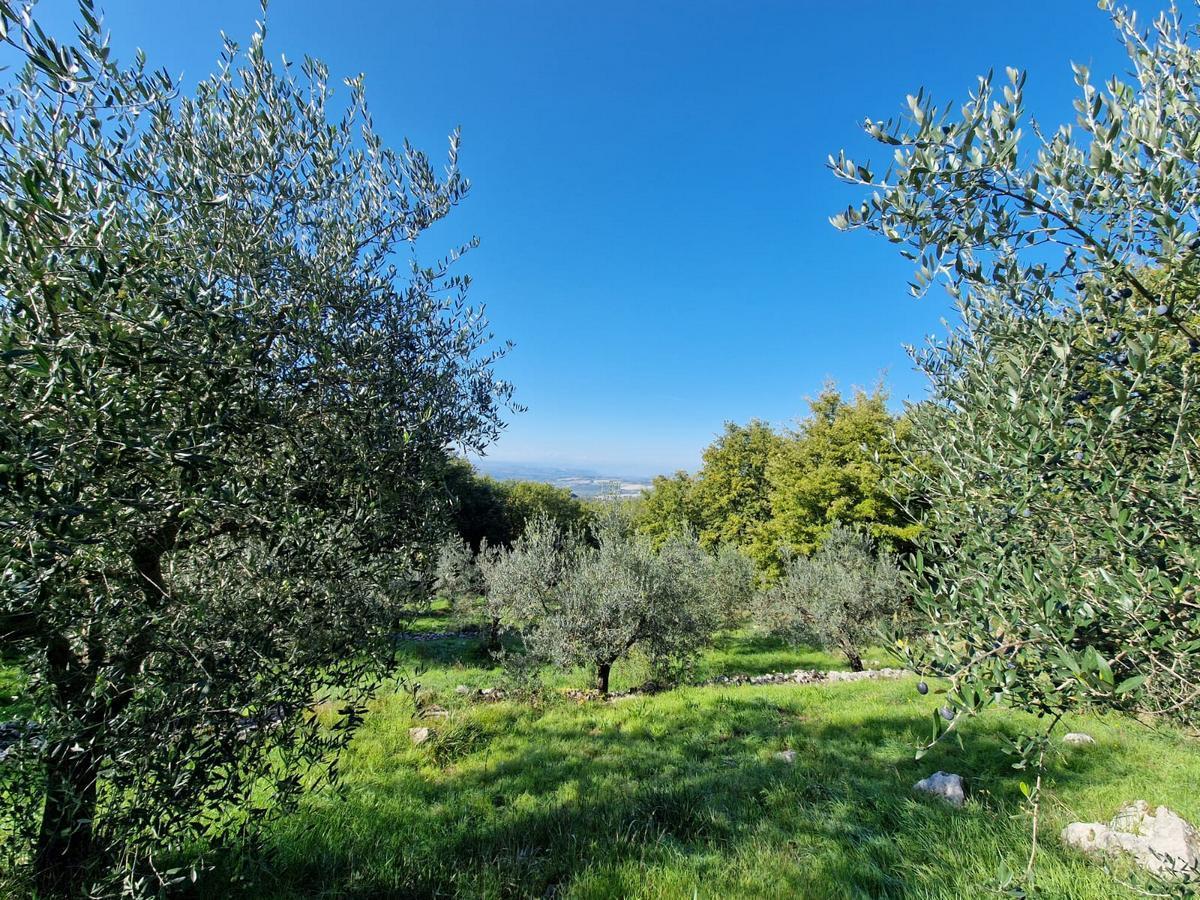 Casa indipendente in vendita in via san rocco 84, Montecchio