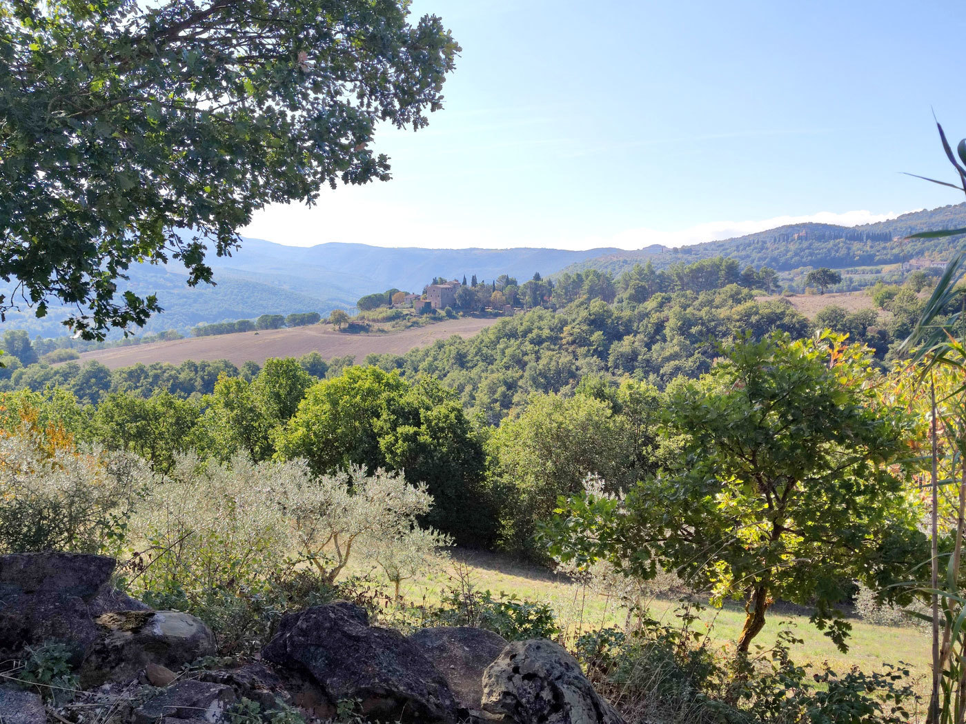 Casa indipendente in vendita in localit canonica 1, Todi