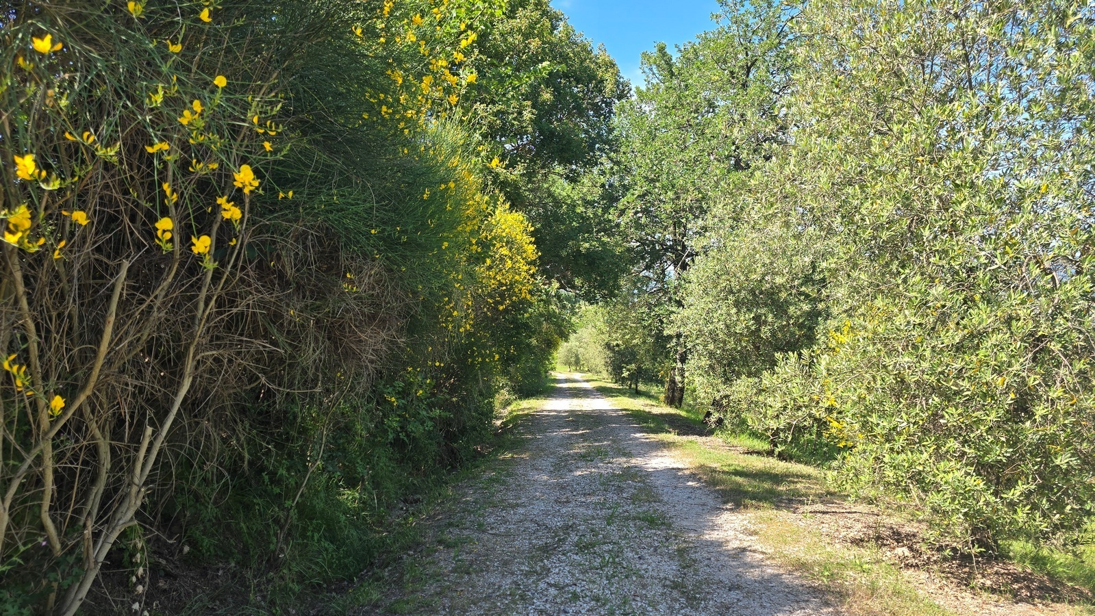 Casa indipendente con terrazzo in via delle piane snc, Castel Viscardo