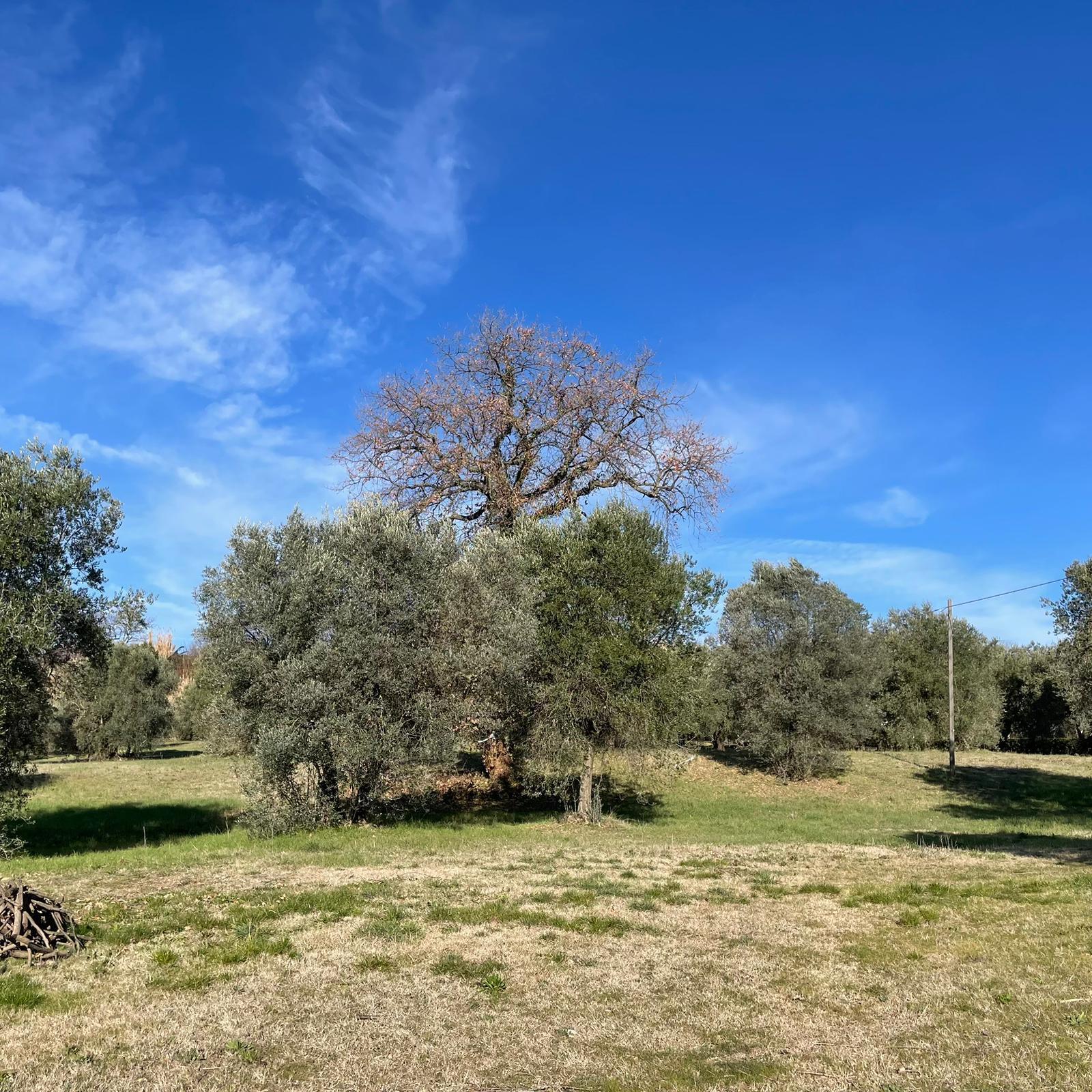 Casa indipendente in vendita in strada statale 8, Amelia