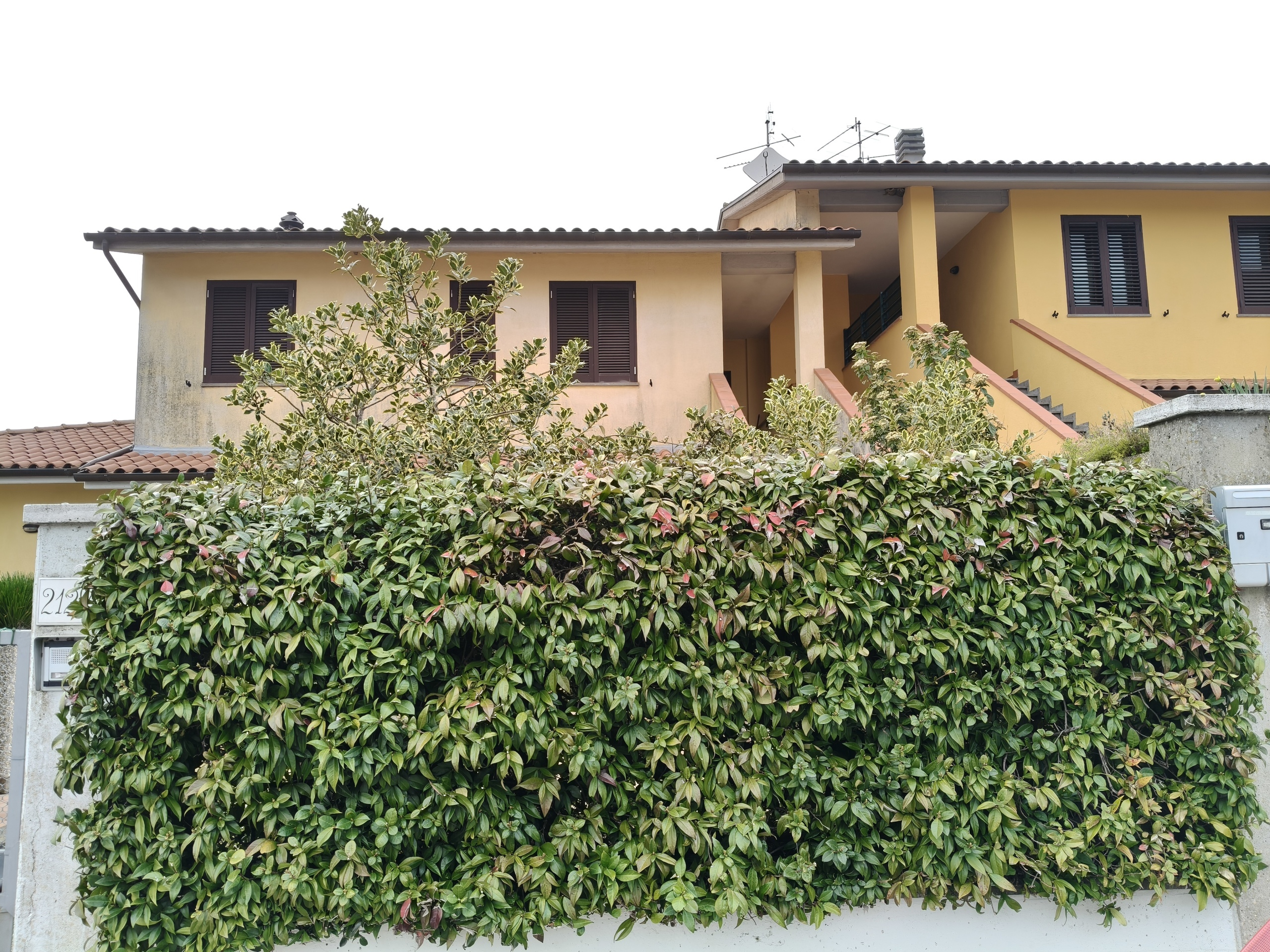 Appartamento con terrazzo in vocabolo torresquadrata 212c, Todi