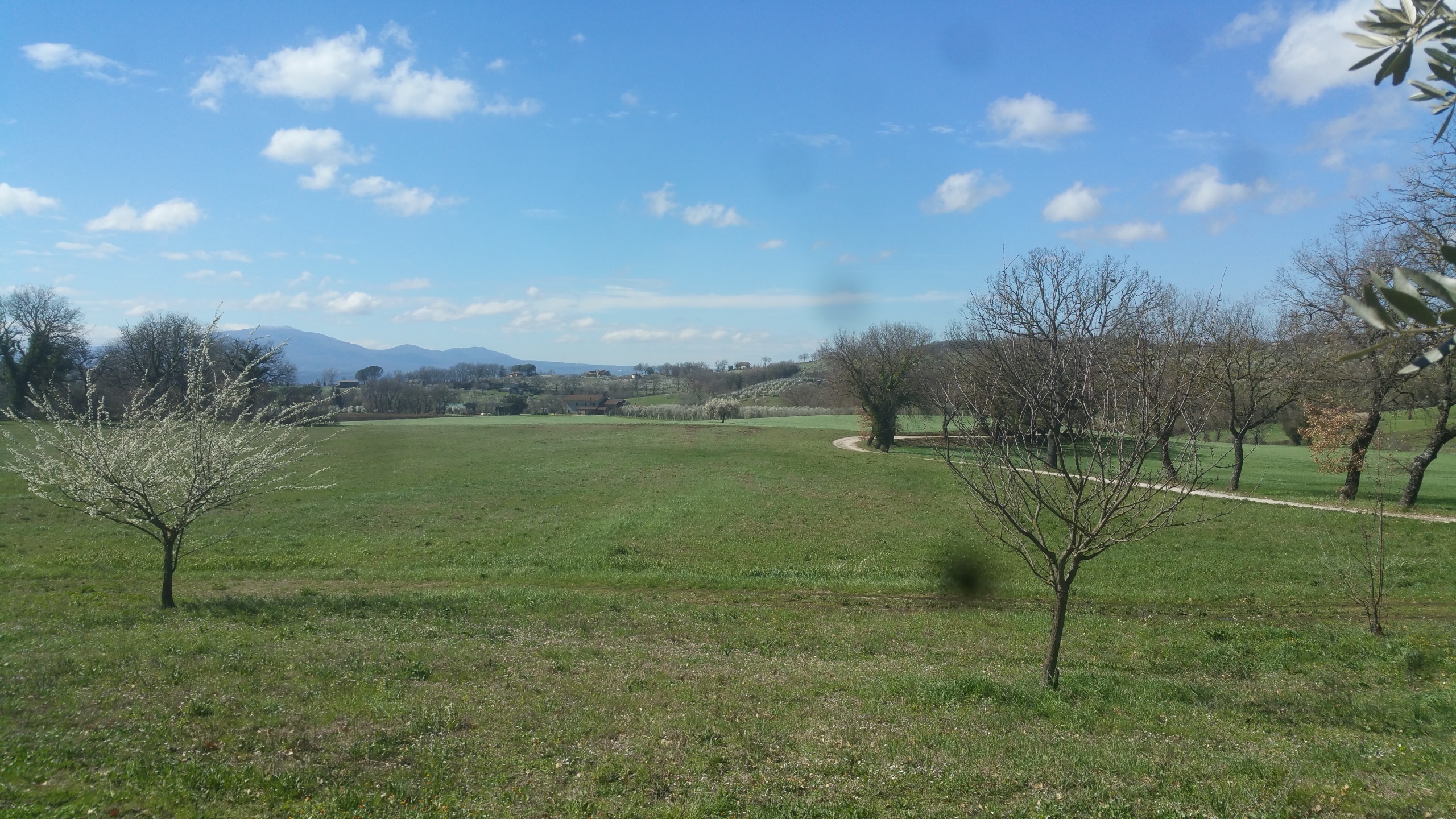 Terreno Agricolo in vendita in via san francesco, Lugnano in Teverina