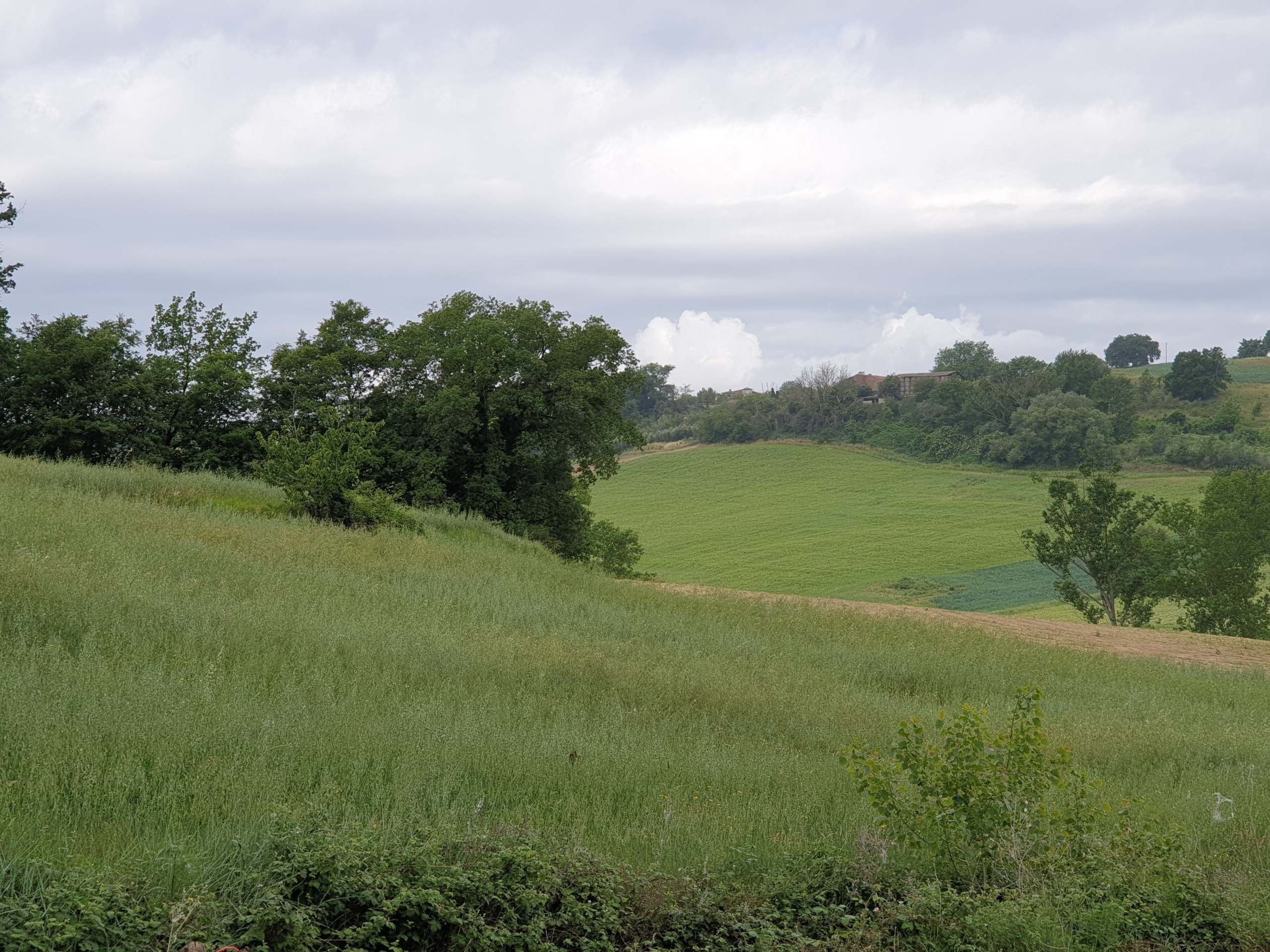 Terreno Agricolo in vendita in vocabolo varzoli, Lugnano in Teverina