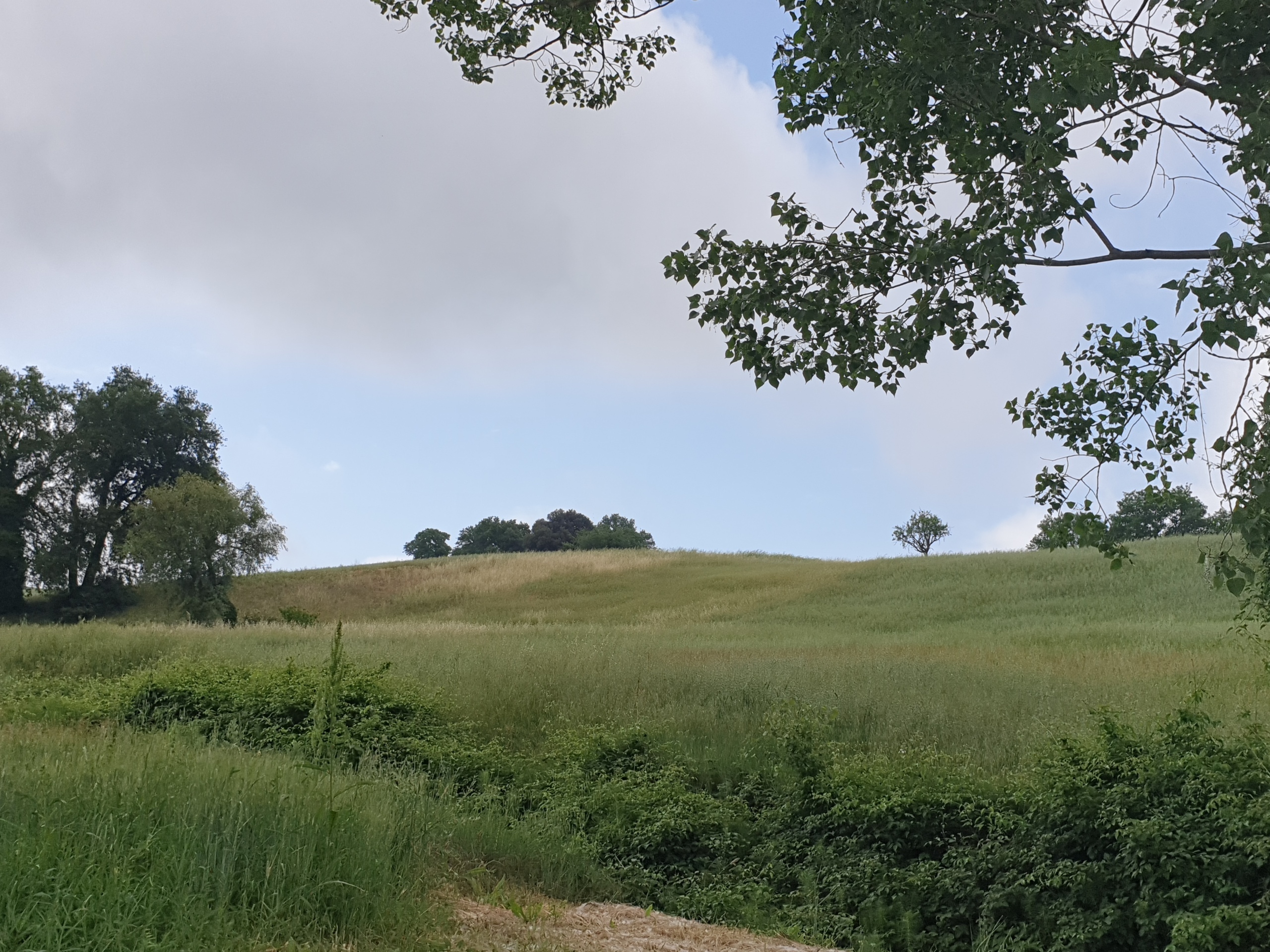 Terreno Agricolo in vendita in vocabolo varzoli, Lugnano in Teverina