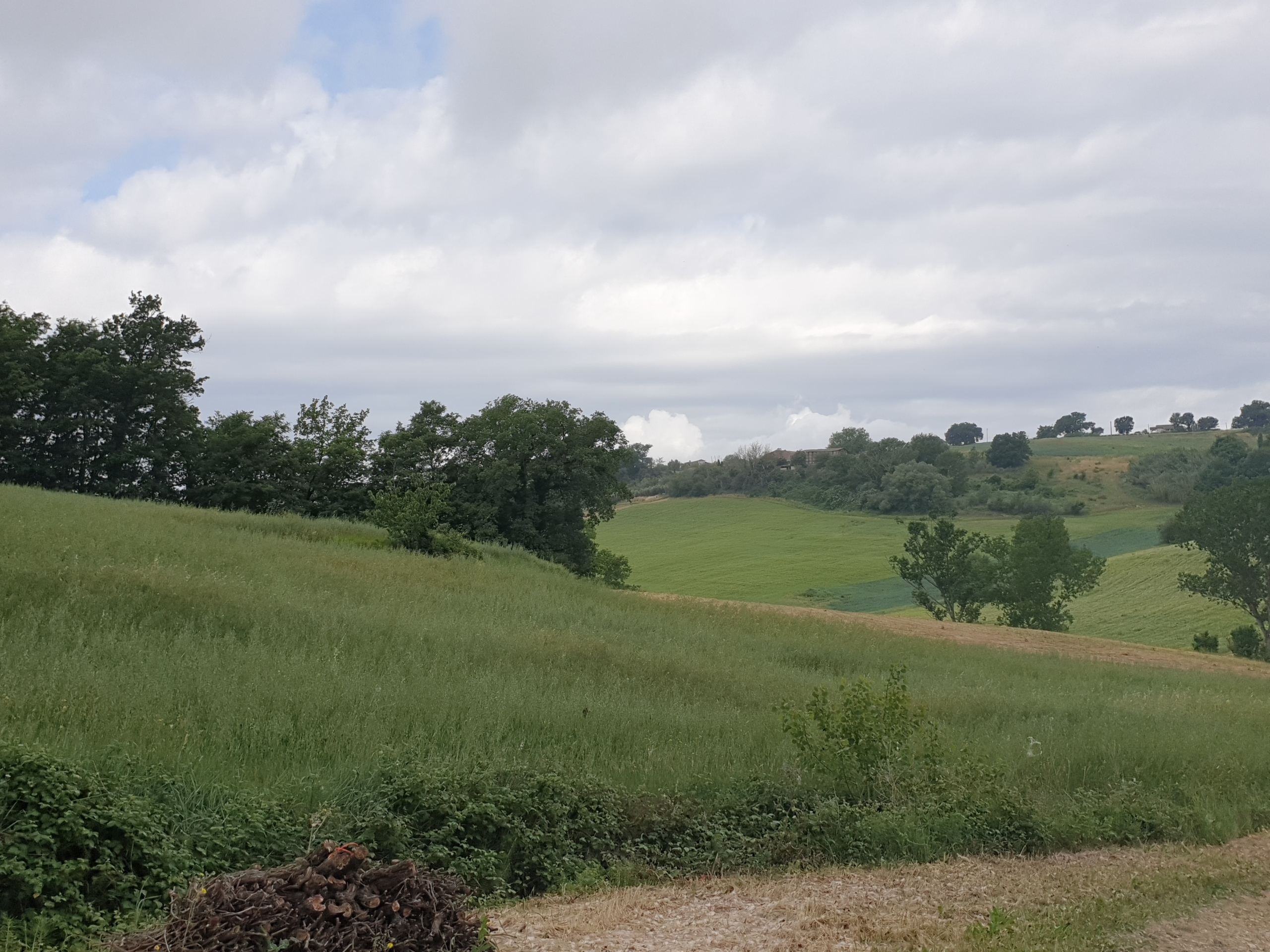 Terreno Agricolo in vendita in vocabolo varzoli, Lugnano in Teverina