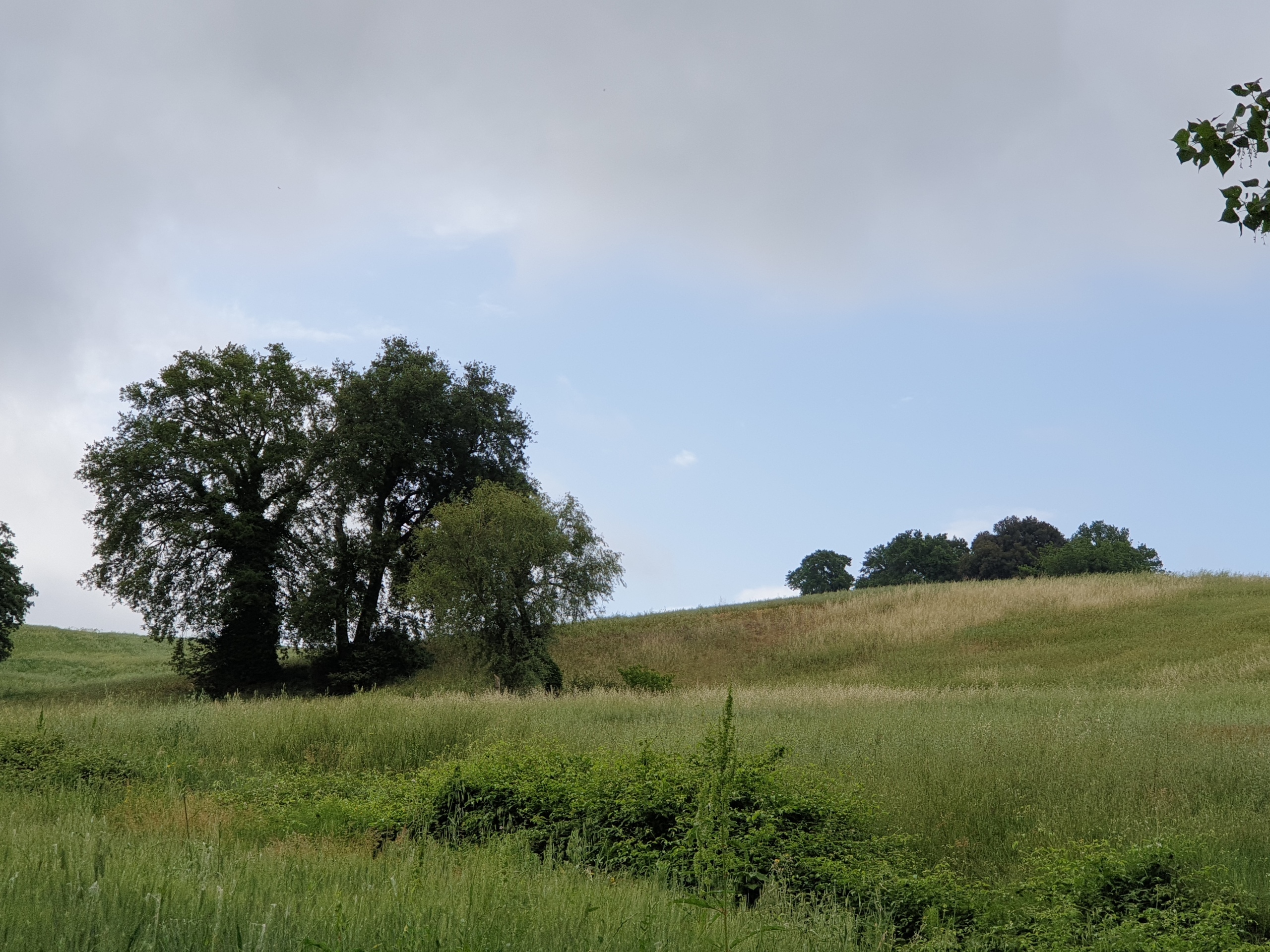 Terreno Agricolo in vendita in vocabolo varzoli, Lugnano in Teverina