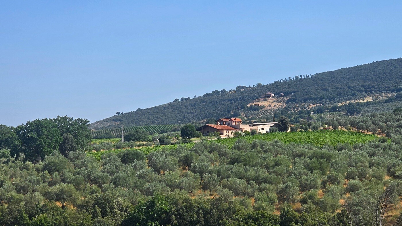 Casa indipendente con terrazzo in via selvarella 2-6, Montecchio