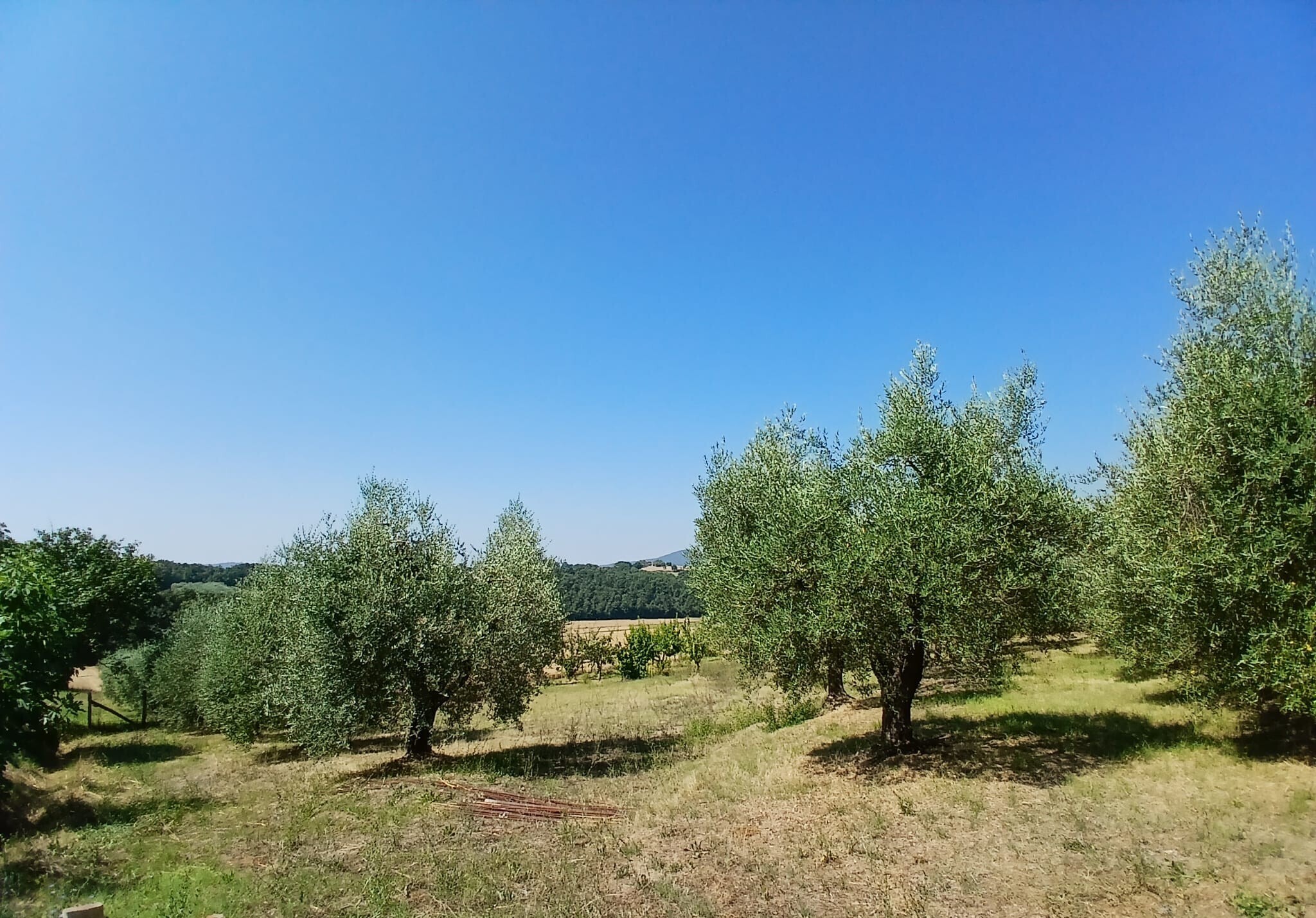 Rustico in vendita in vocabolo merolfo, Montecastrilli