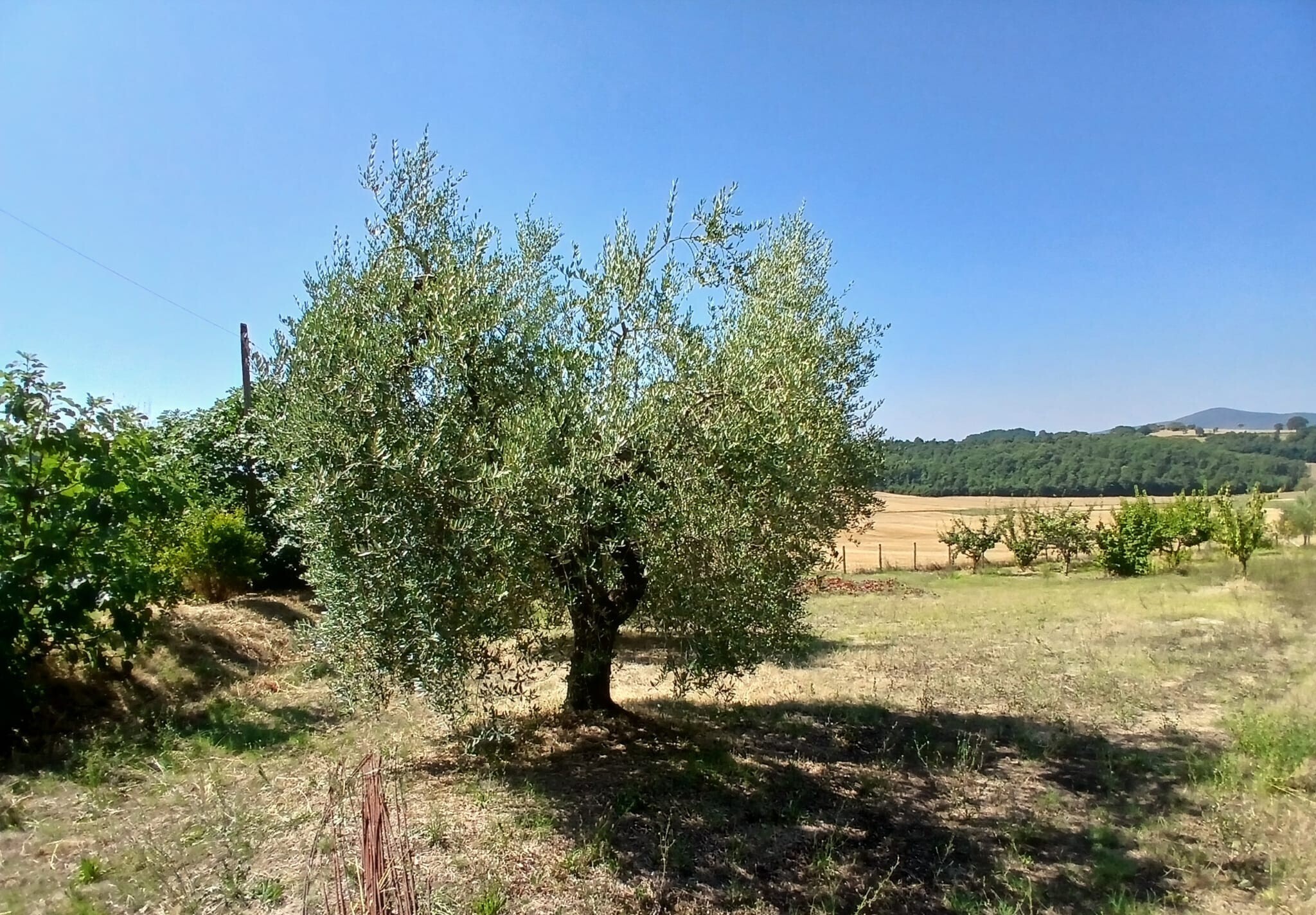 Rustico in vendita in vocabolo merolfo, Montecastrilli
