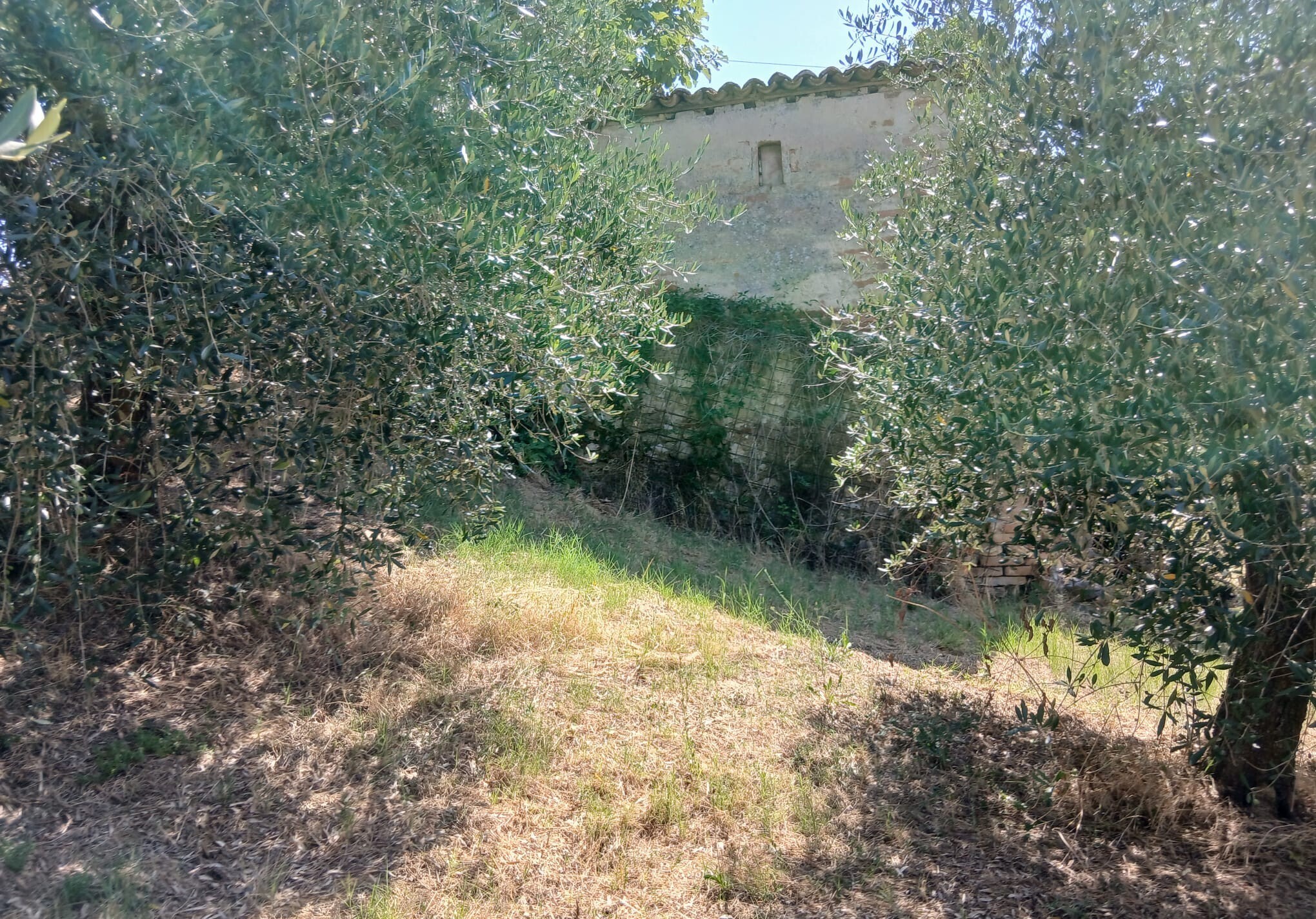 Rustico in vendita in vocabolo merolfo, Montecastrilli