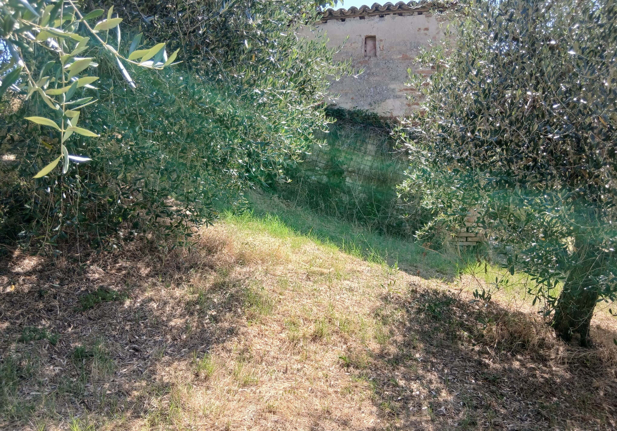 Rustico in vendita in vocabolo merolfo, Montecastrilli