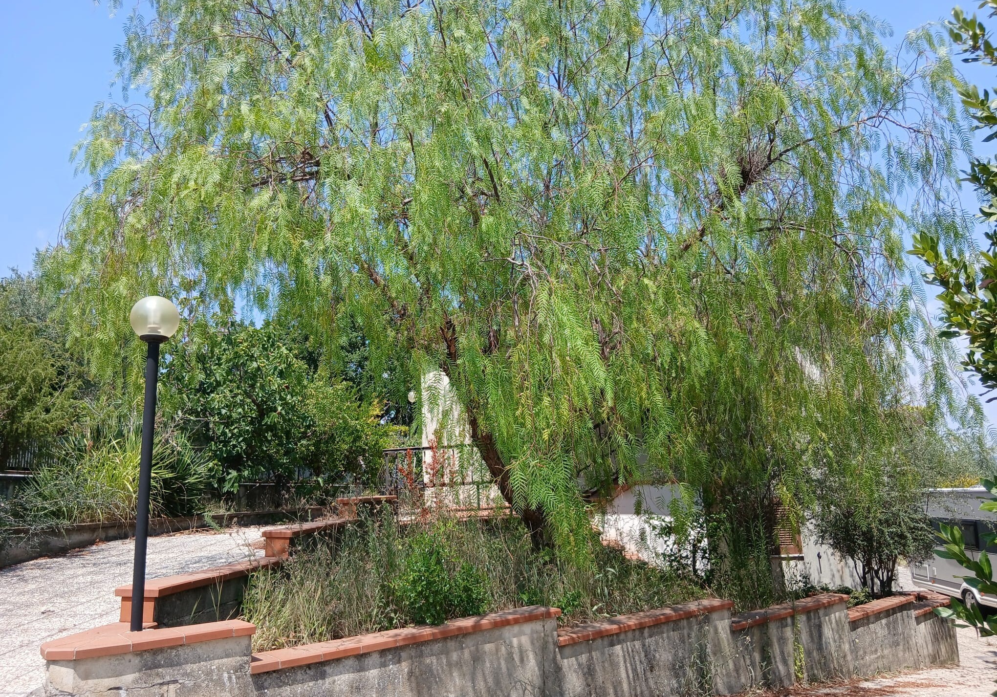 Casa indipendente in vendita in via roma, Amelia