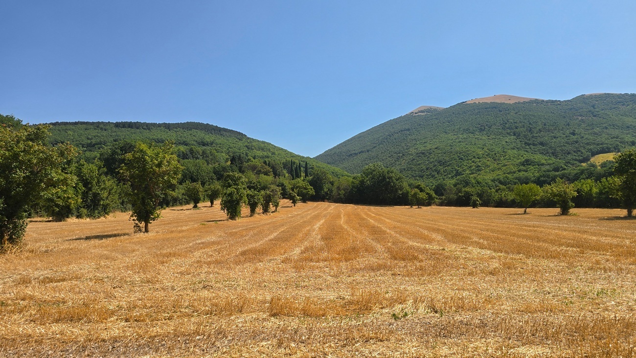 Magazzino con giardino in vocabolo colle 82, Nocera Umbra