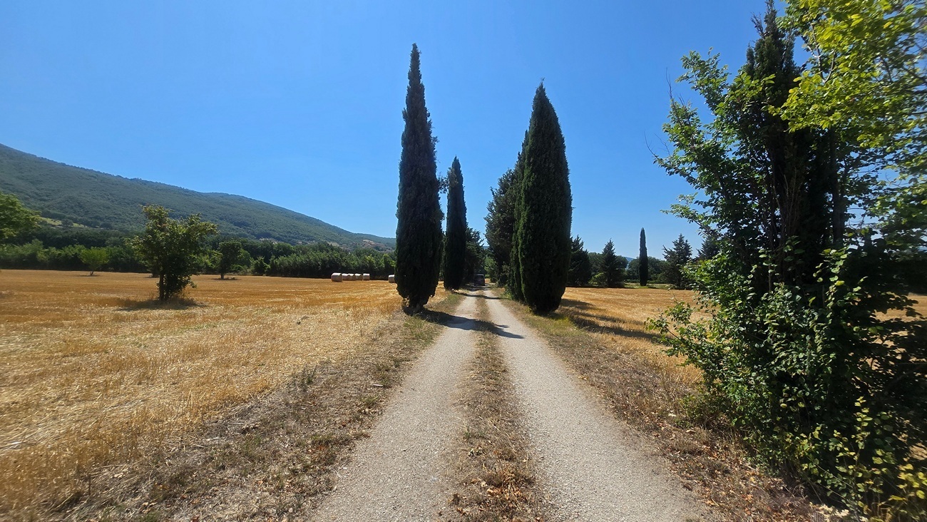 Magazzino con giardino in vocabolo colle 82, Nocera Umbra
