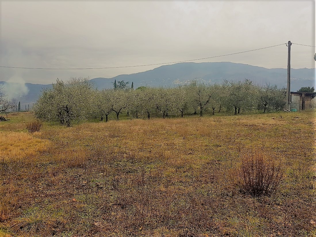 Terreno Agricolo in vendita in via per corte sandori 134a, Lucca